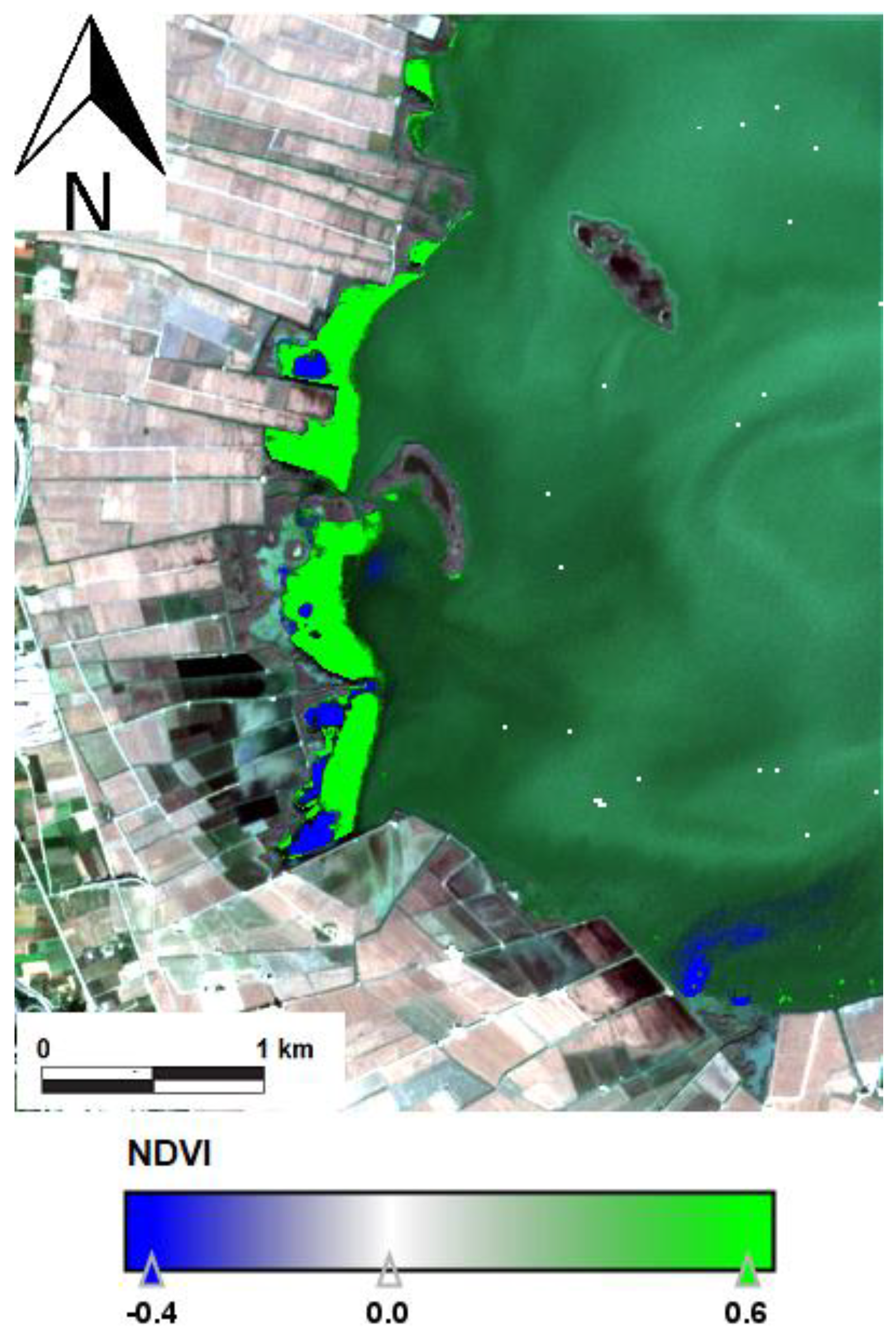 Water 17 01302 g007 Water 17 01302 g007