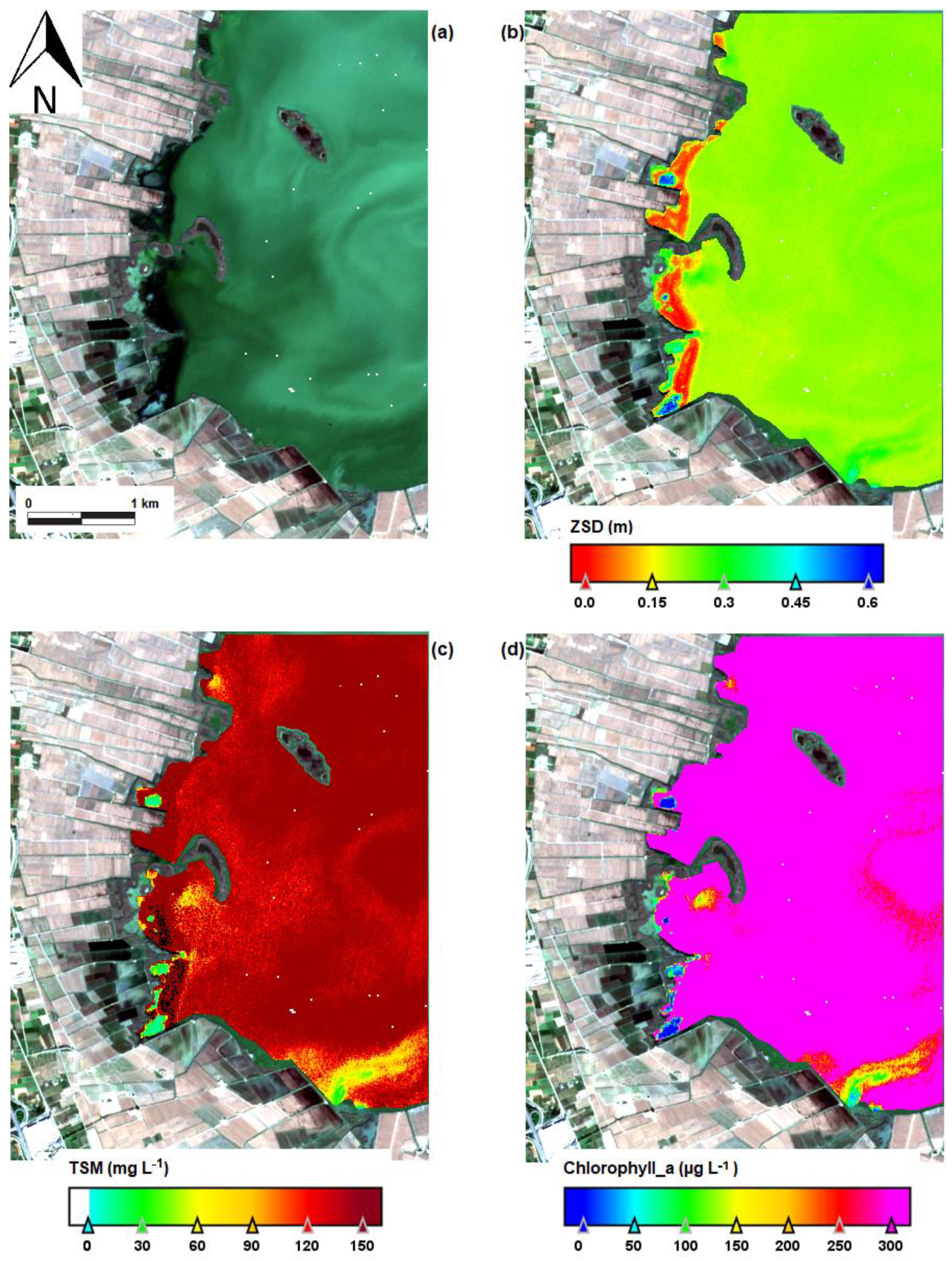 Water 17 01302 g008 Water 17 01302 g008
