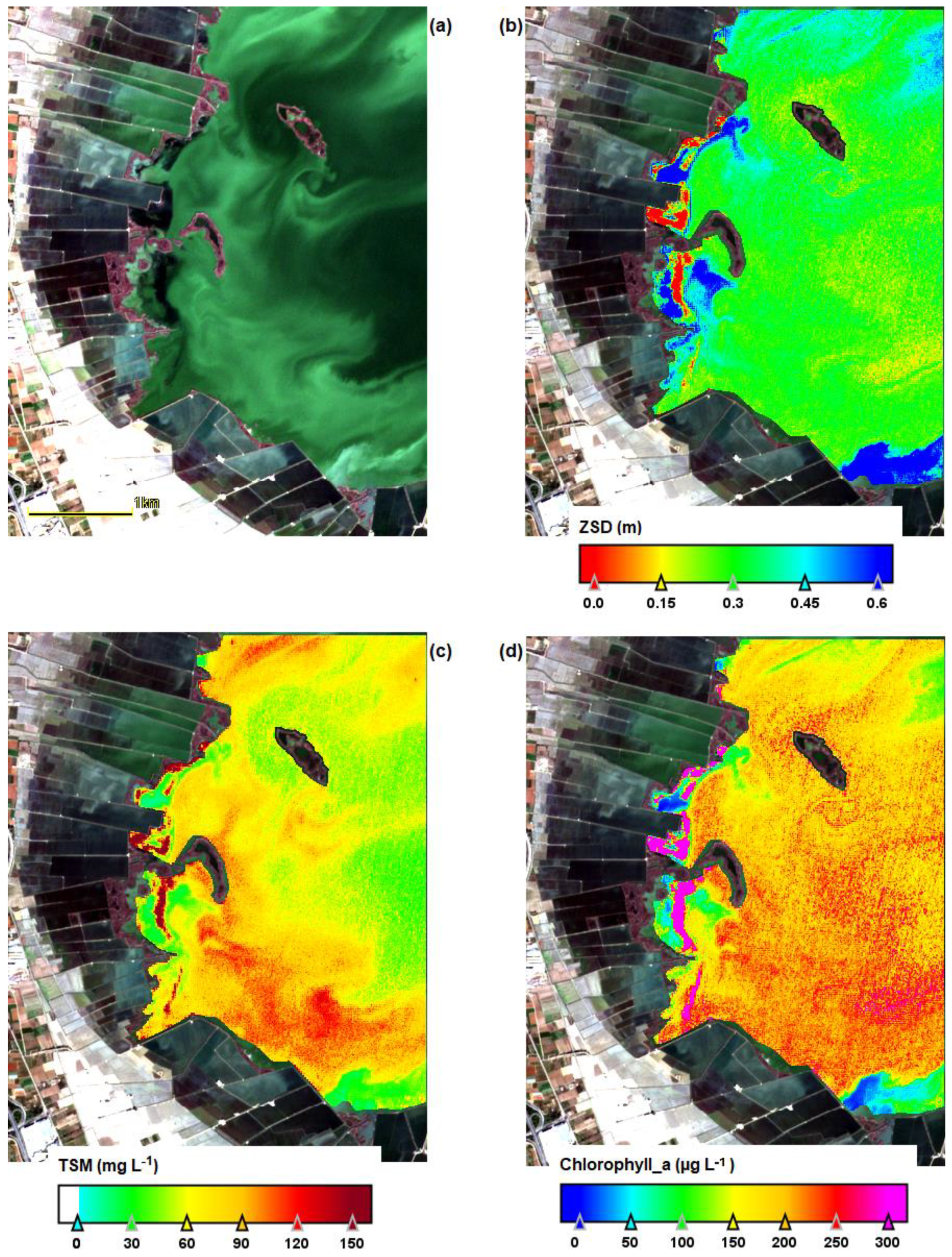 Water 17 01302 g010 Water 17 01302 g010