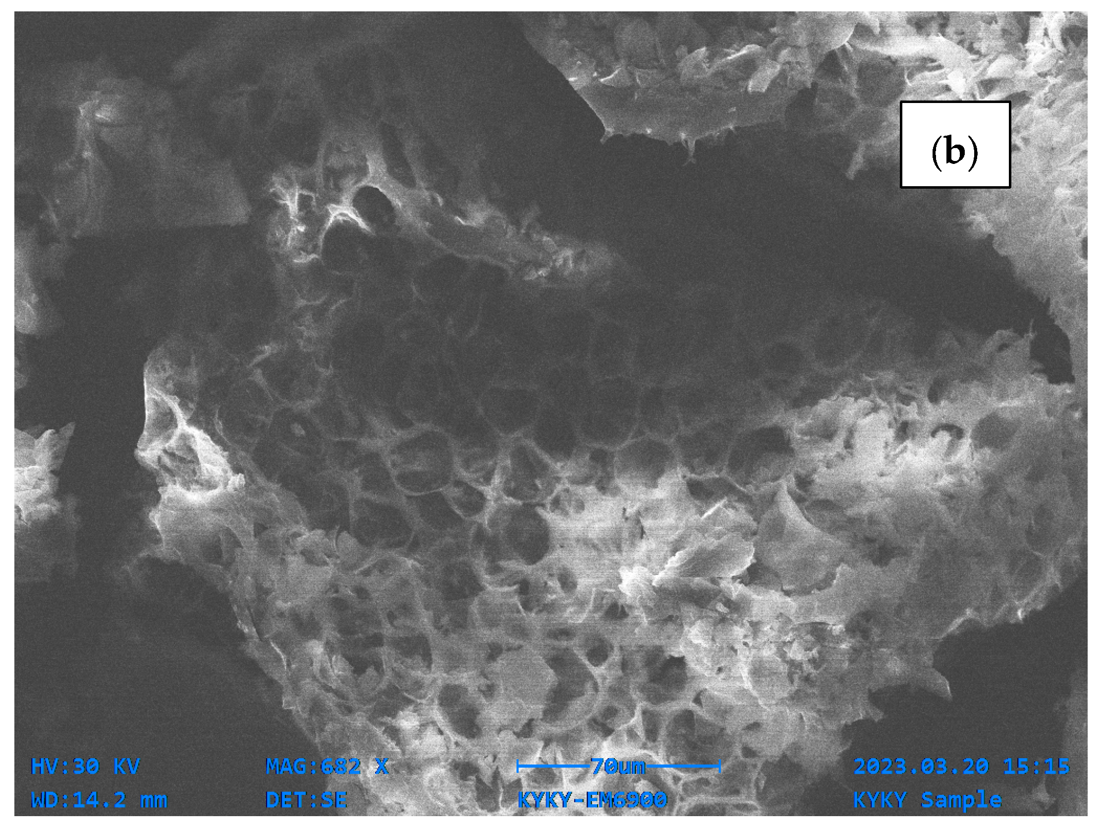 Water 17 01484 g002b