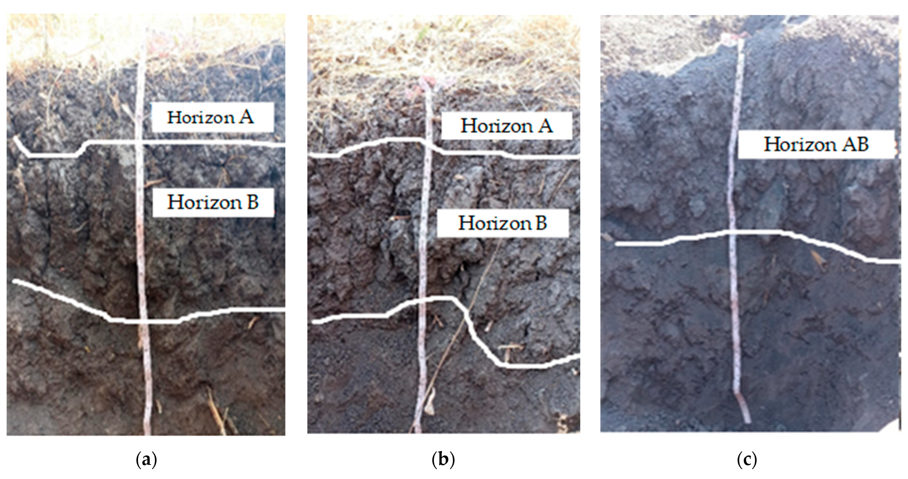 Water 17 01488 g003 Water 17 01488 g003