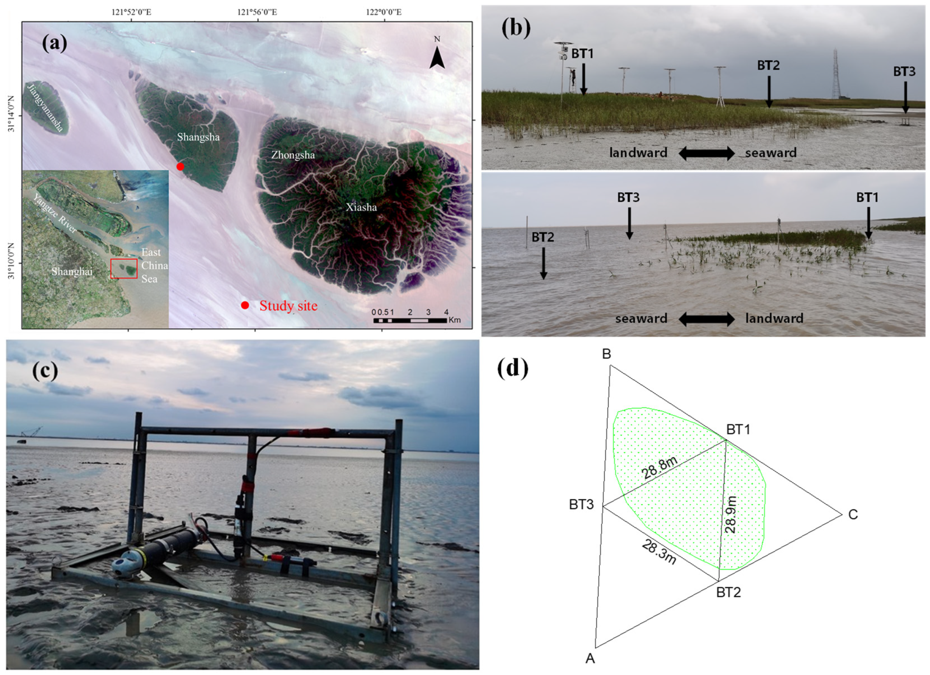 Water 17 01490 g002 Water 17 01490 g002