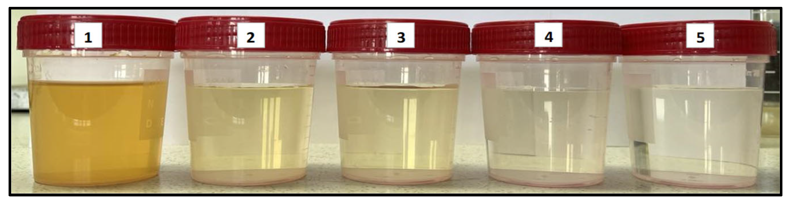 Water 17 01537 g002 Water 17 01537 g002