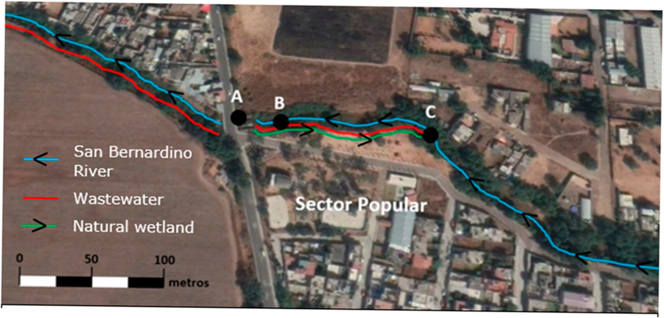 Water 17 01560 g002 Water 17 01560 g002