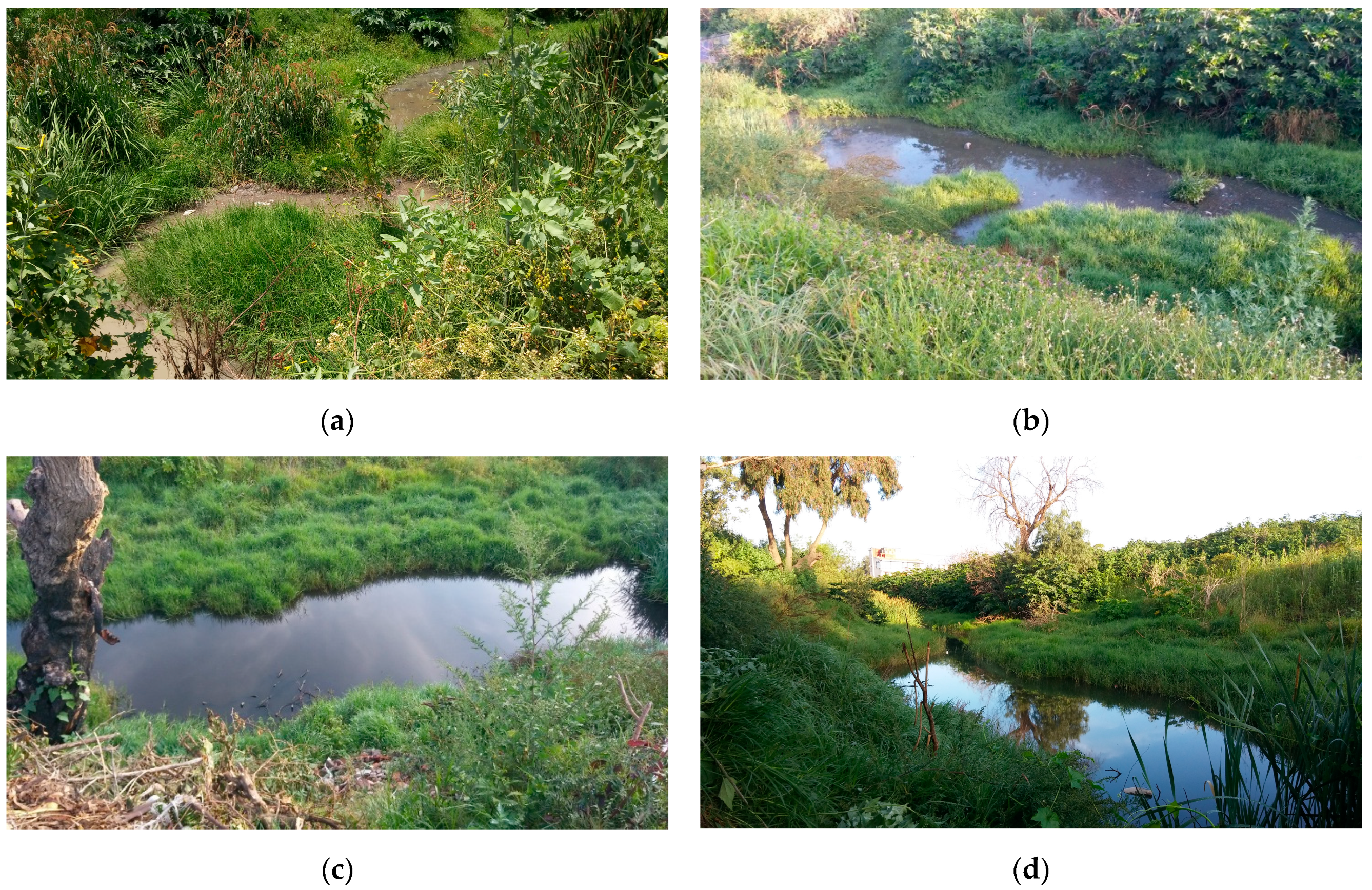 Water 17 01560 g003 Water 17 01560 g003