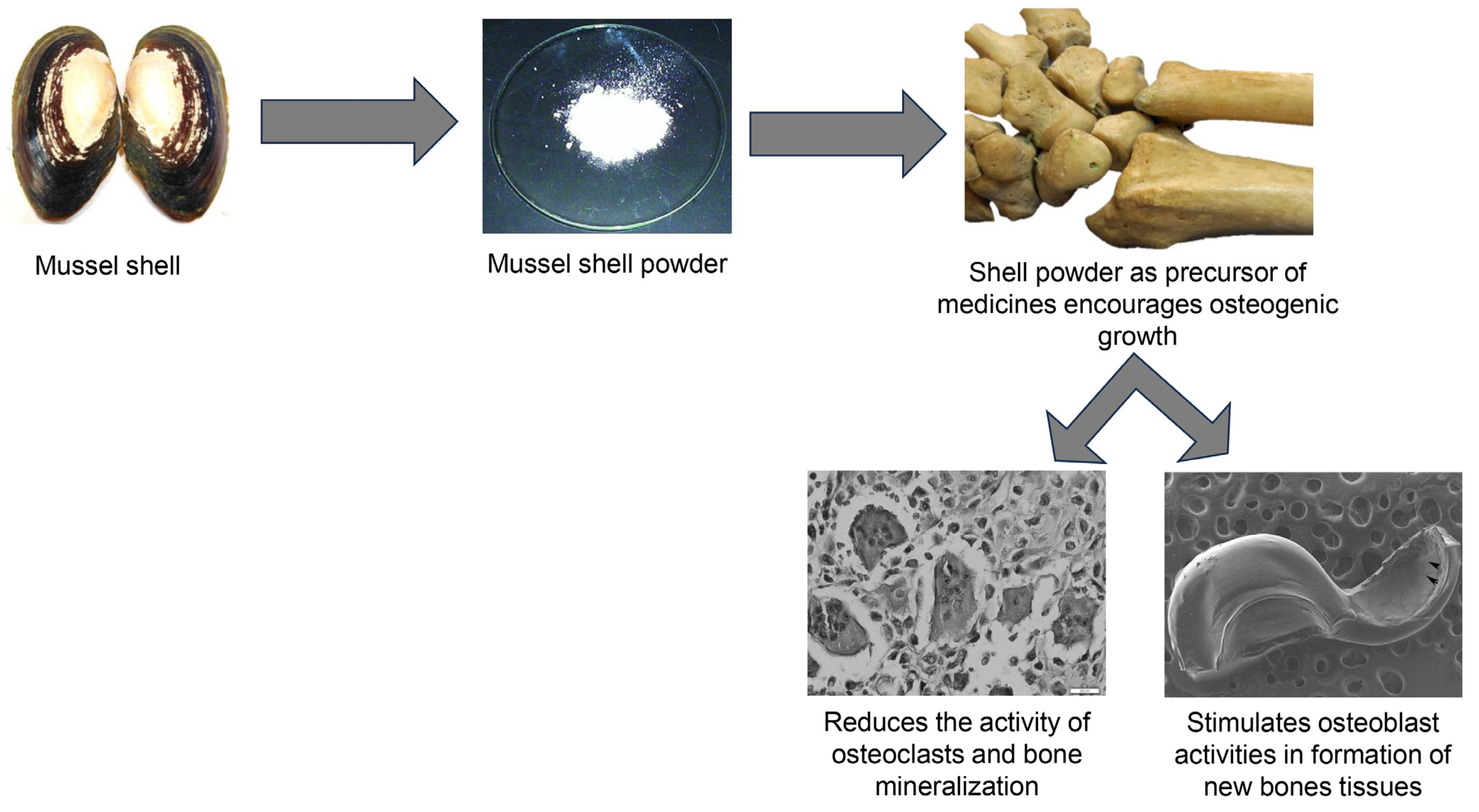 Water 17 01629 g005 Water 17 01629 g005