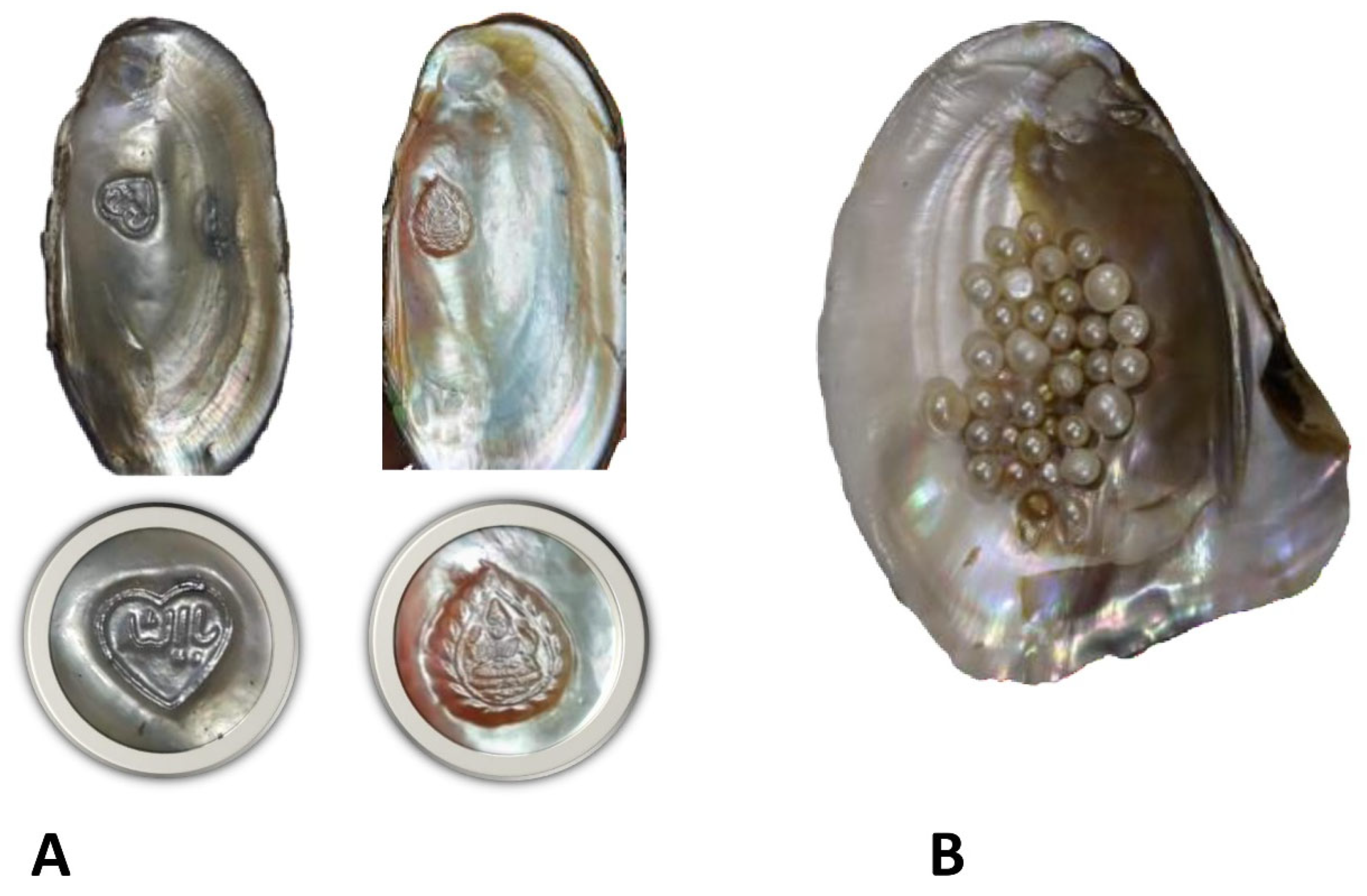 Water 17 01629 g006 Water 17 01629 g006