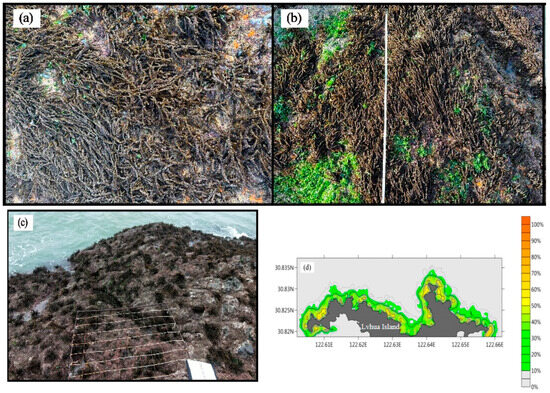 Influence of Distribution Spacing on Intraspecific