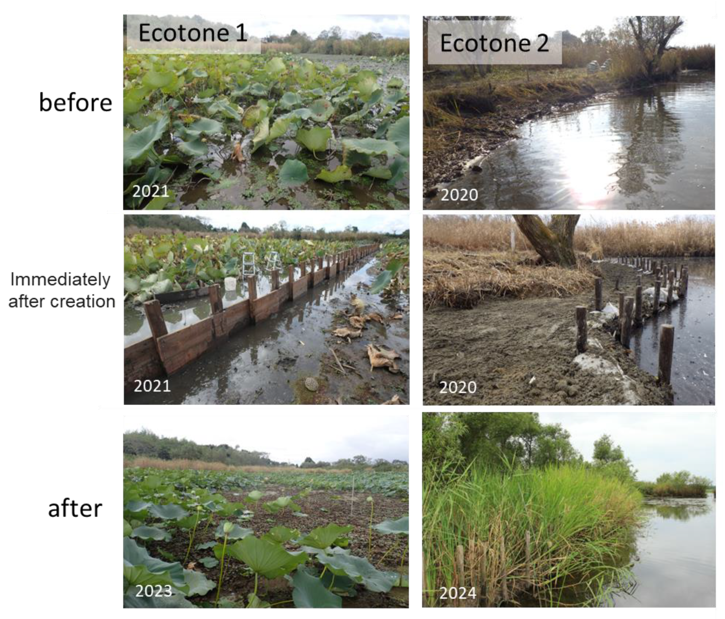 Water 17 01760 g006 Water 17 01760 g006