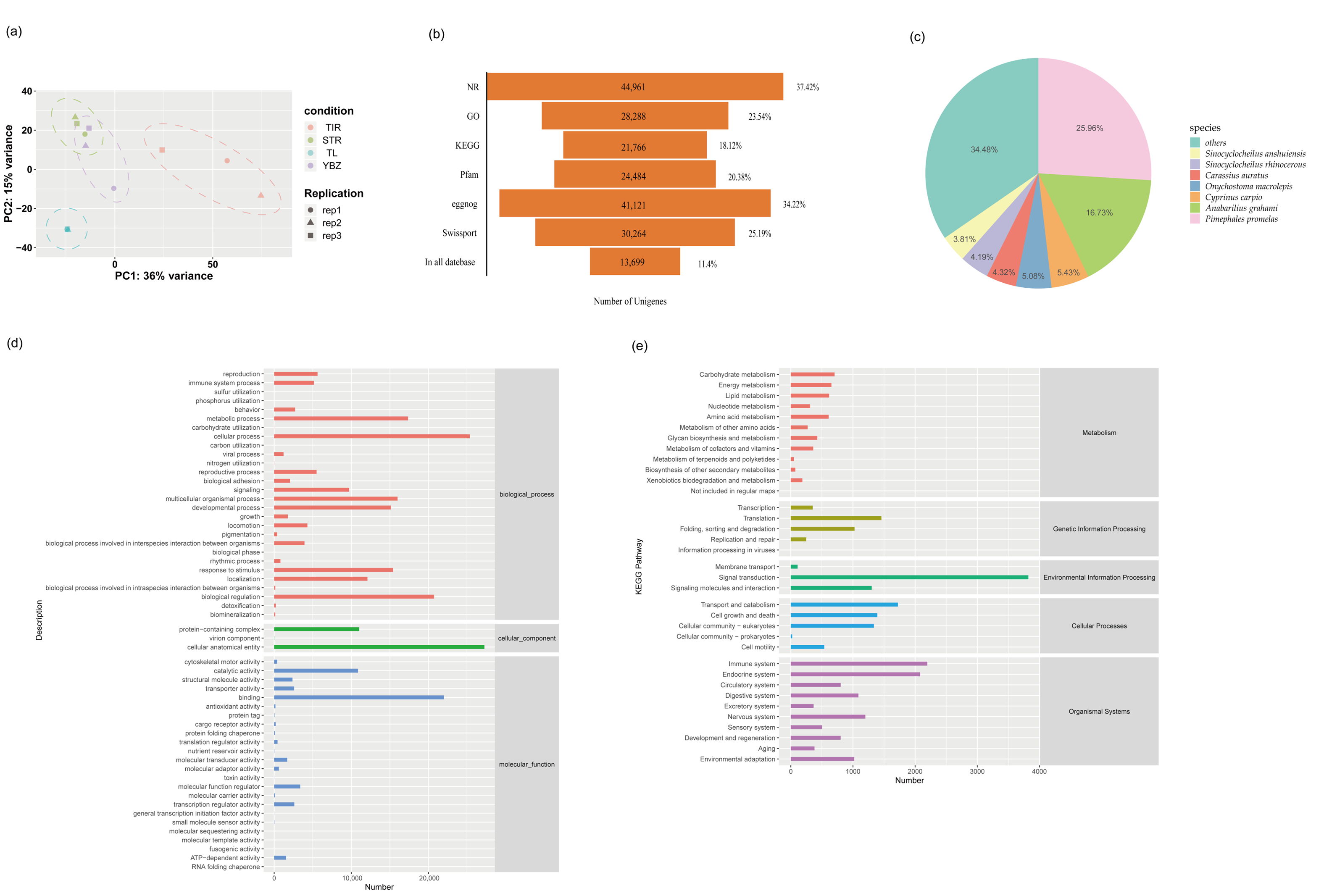 Water 17 01794 g002 Water 17 01794 g002