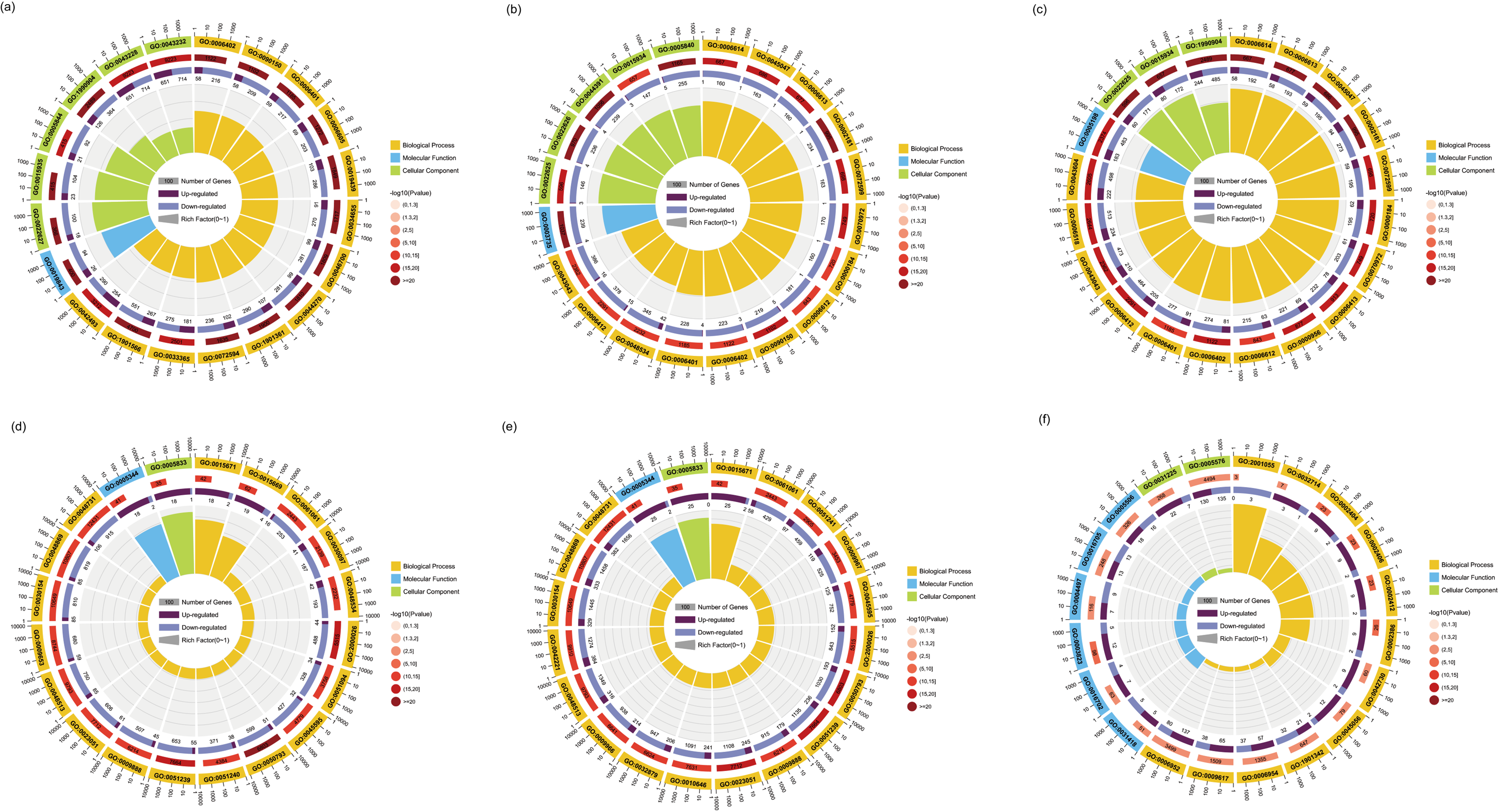 Water 17 01794 g004 Water 17 01794 g004
