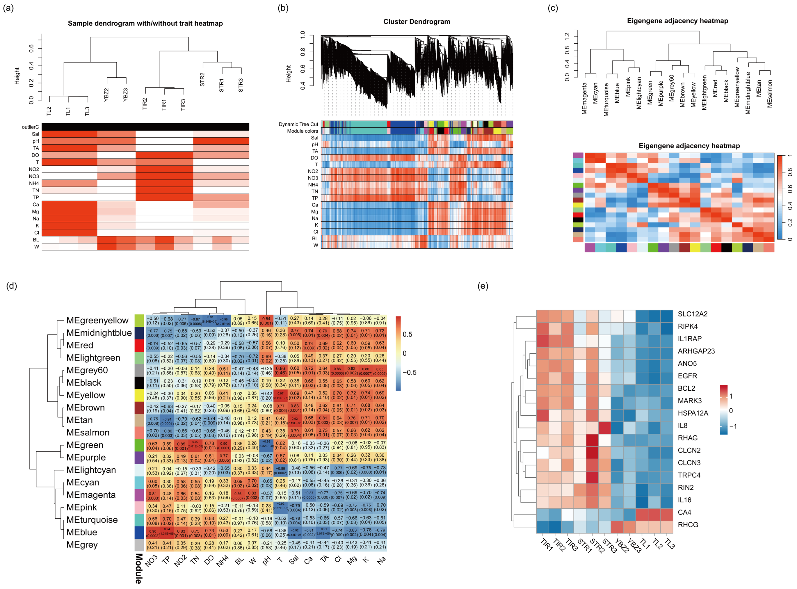 Water 17 01794 g006 Water 17 01794 g006