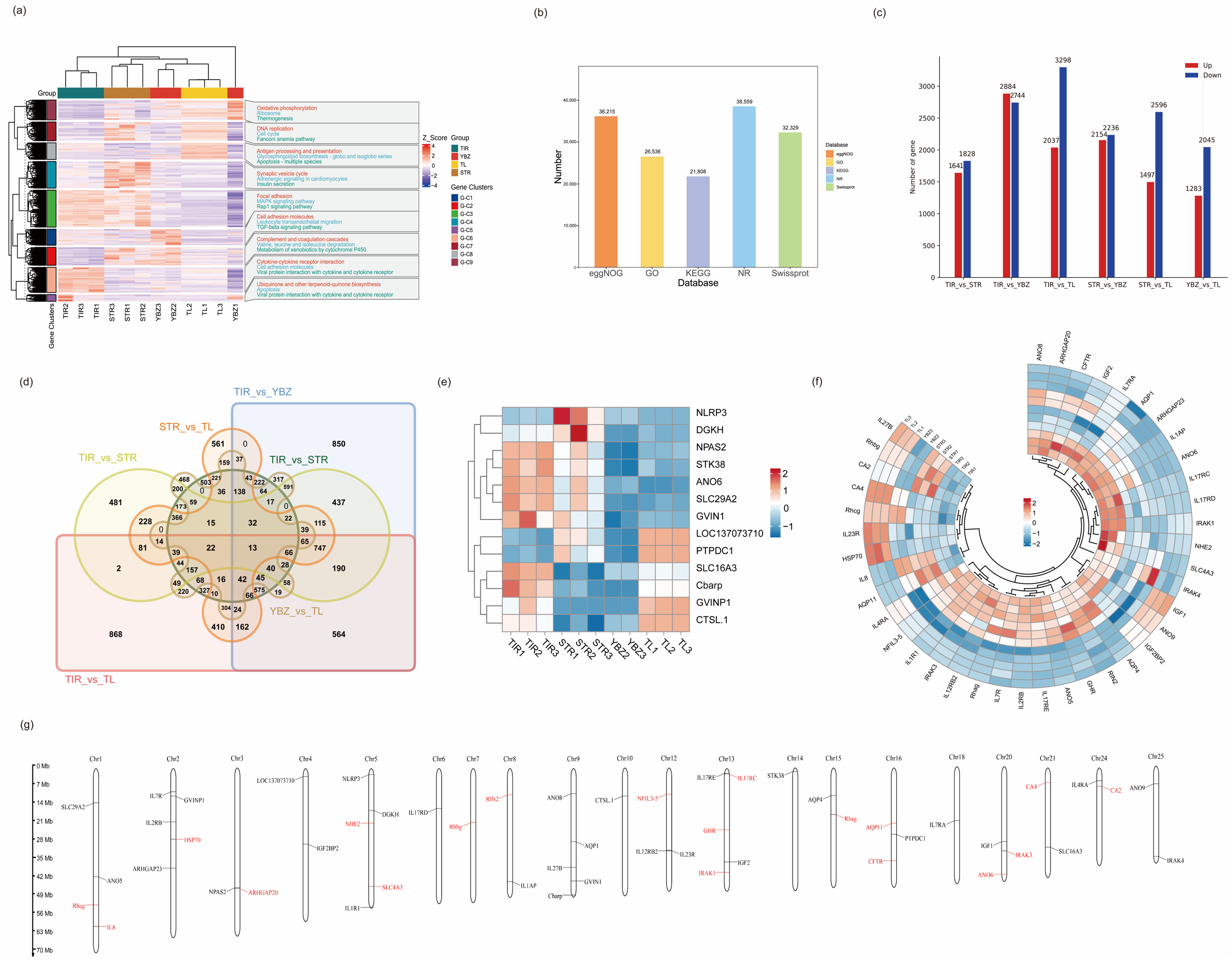 Water 17 01794 g0a1 Water 17 01794 g0a1