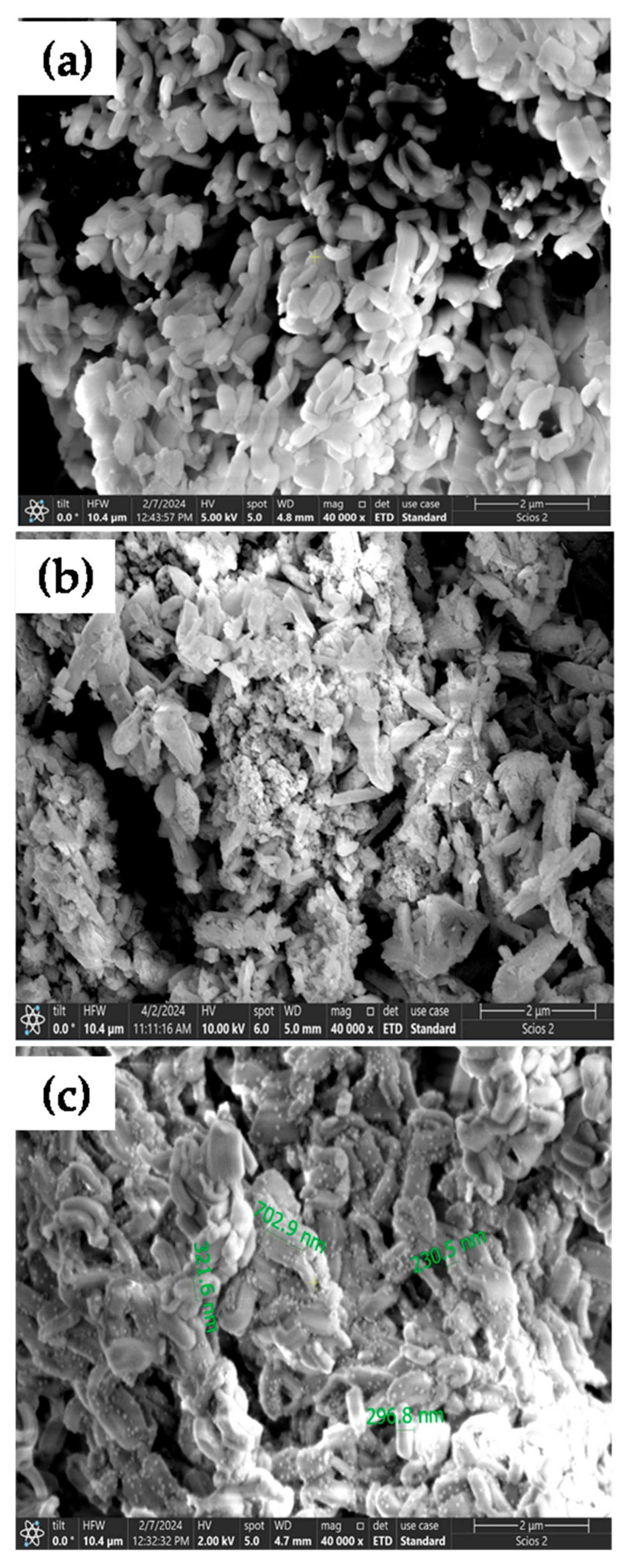 Water 17 01834 g001a