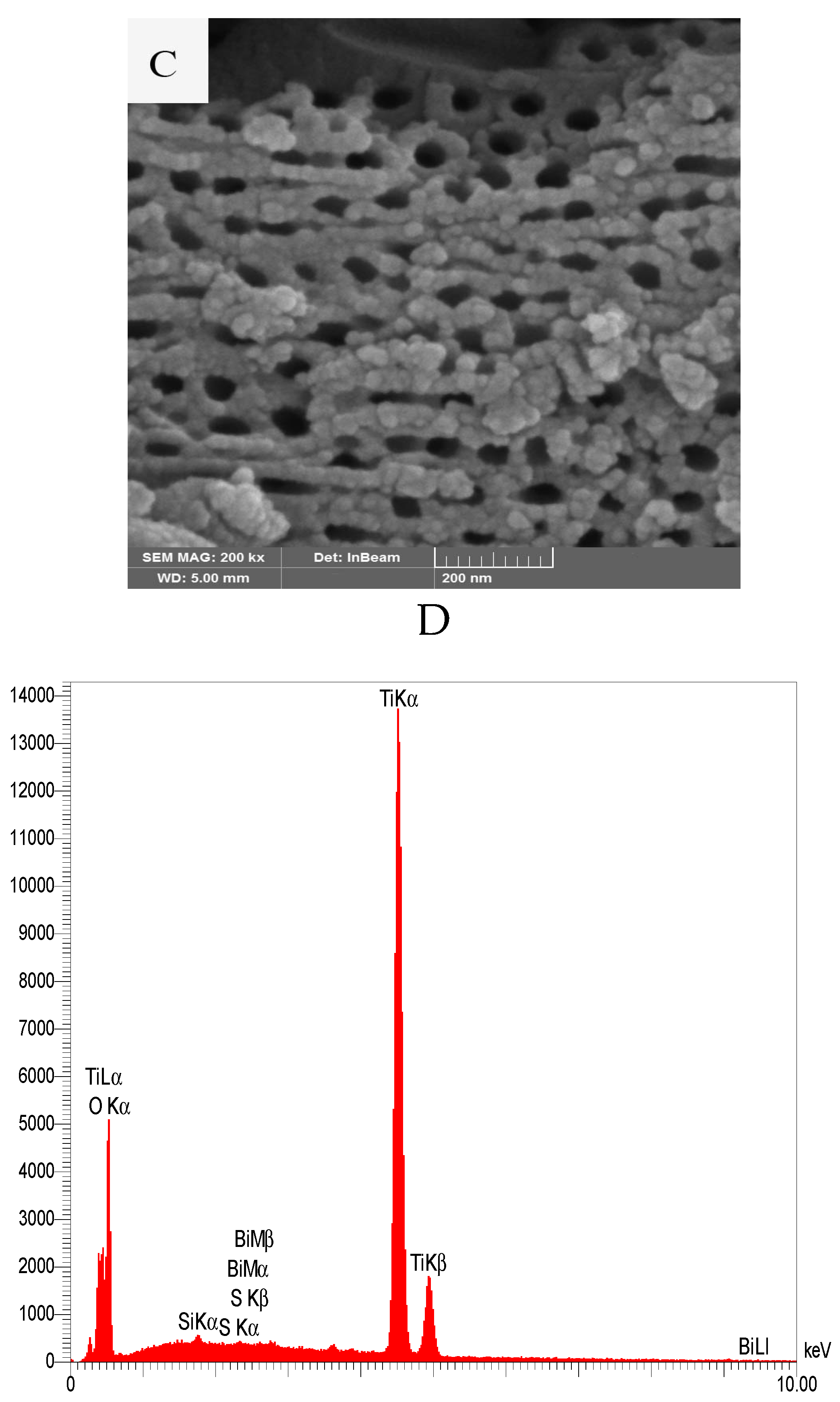 Water 17 01875 g003b