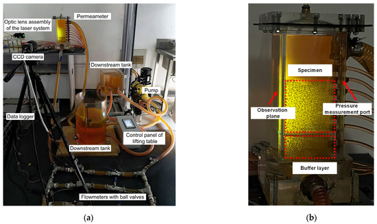 Macro- and Micro-Behavior of Suffusion Under Cyclic