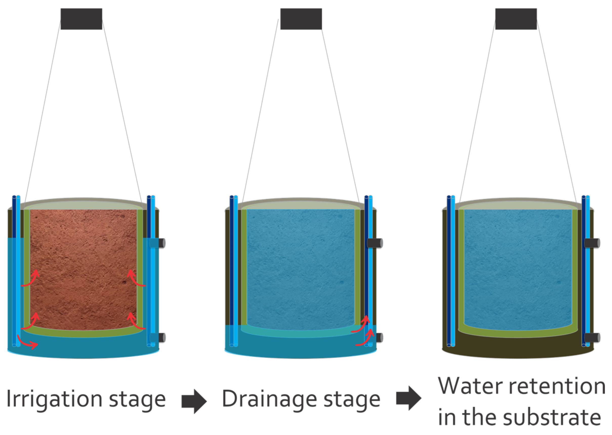 Water 17 01951 g003 Water 17 01951 g003