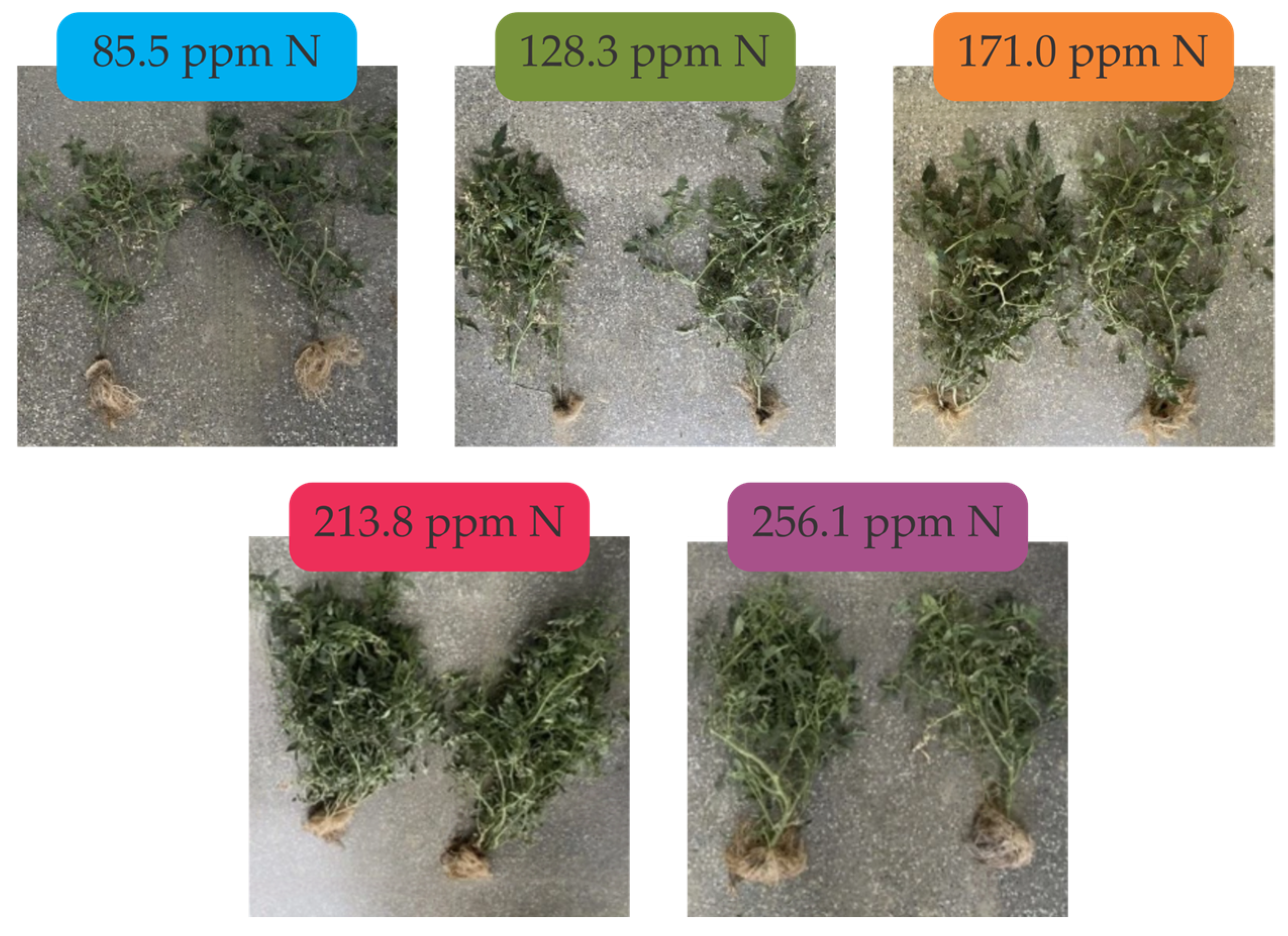 Water 17 01951 g008 Water 17 01951 g008