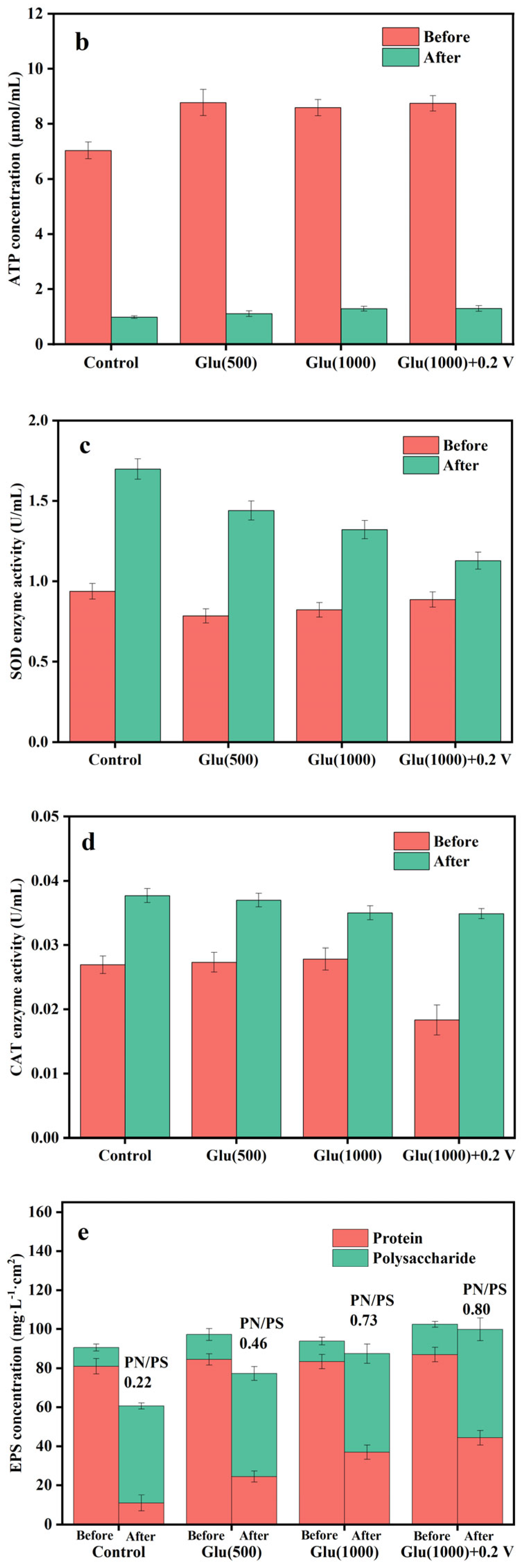 Water 17 02073 g005b