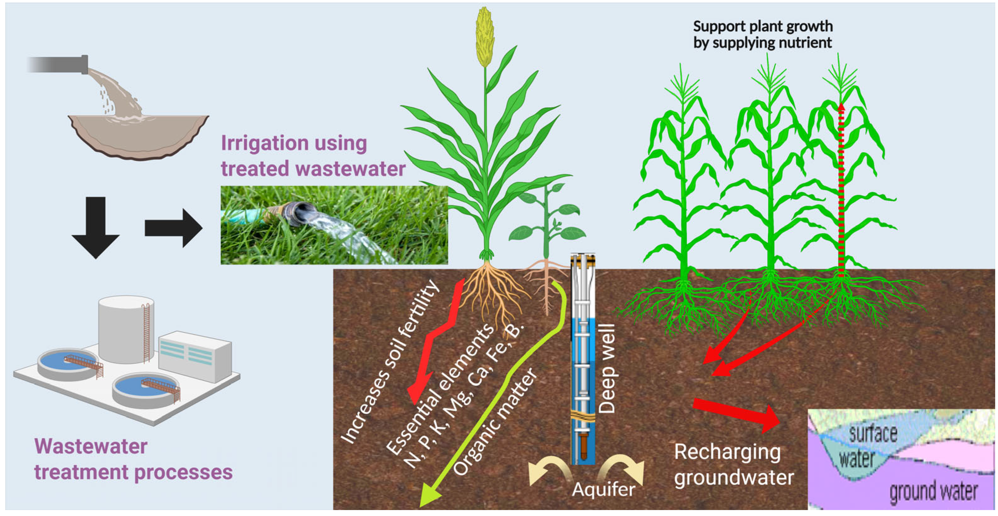 Water 17 02083 g001 Water 17 02083 g001