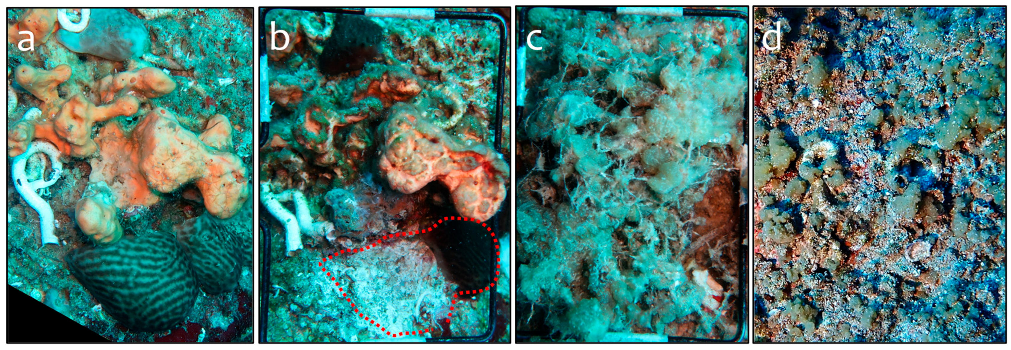 Water 17 02092 g005 Water 17 02092 g005