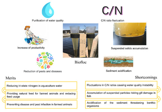 Integrated Application of Biofloc Technology in Aquaculture