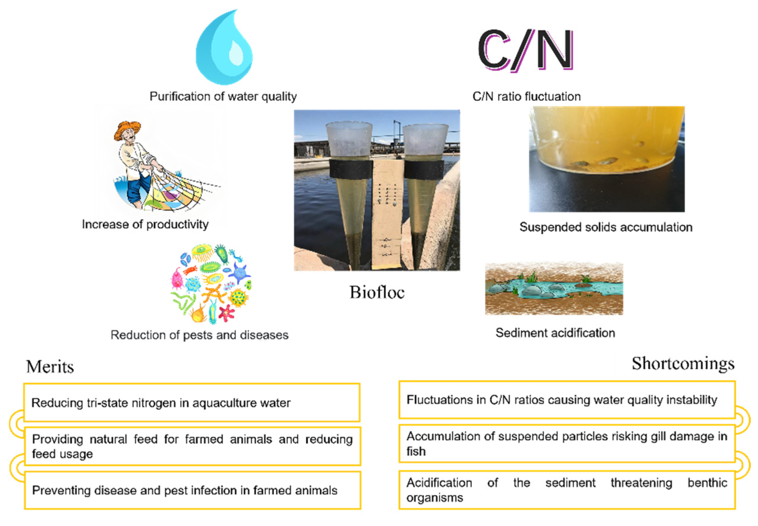 Integrated Application of Biofloc Technology in Aquaculture