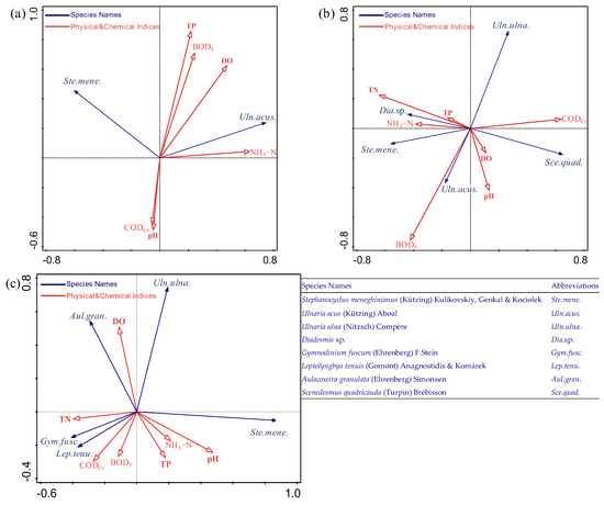 Spatiotemporal Dynamics and Driving Factors of Phytoplankton Community ...