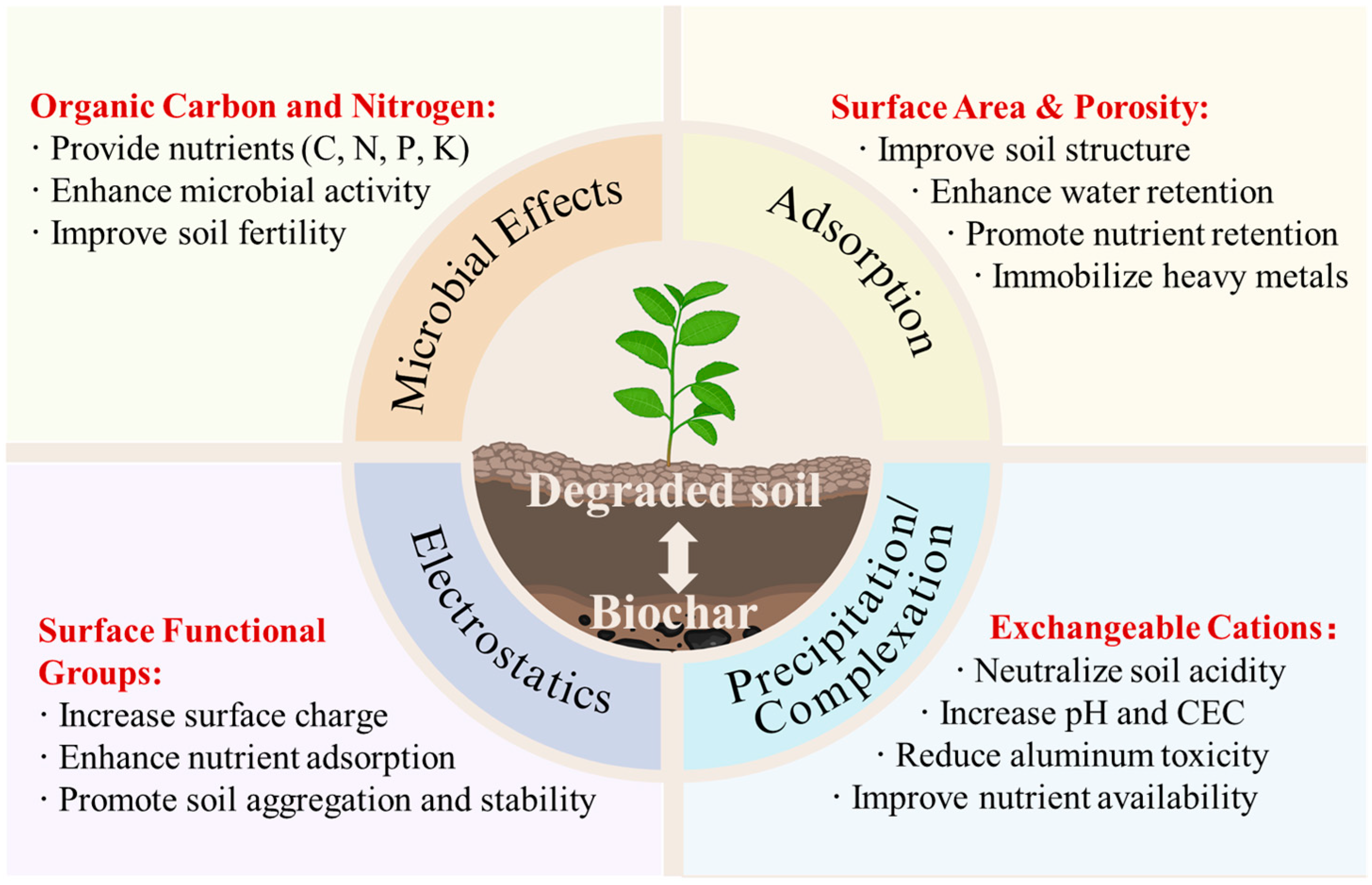 Soil Amendment Techniques: Boost Growth with Proven Methods
