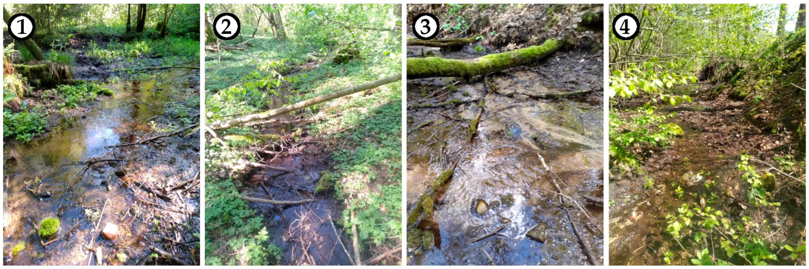 Water 17 02293 g002 Water 17 02293 g002