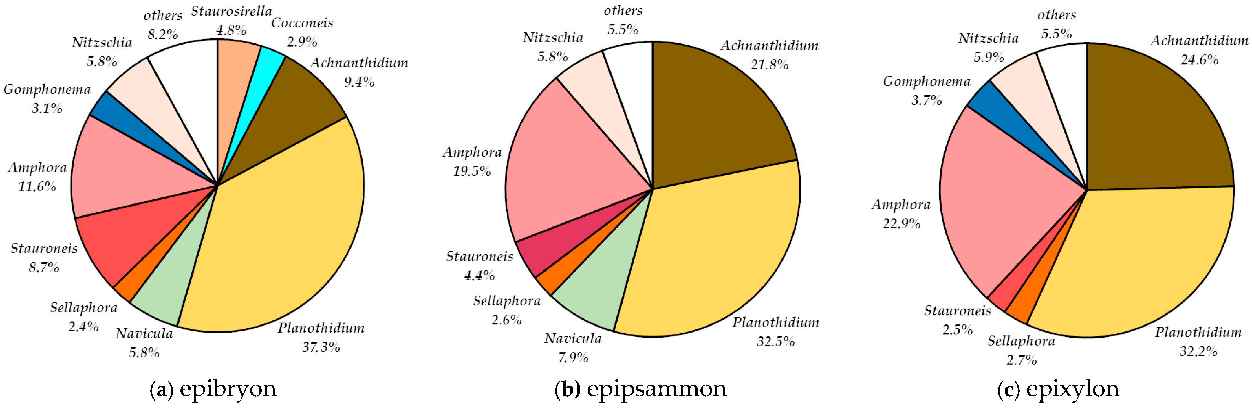 Water 17 02293 g004 Water 17 02293 g004