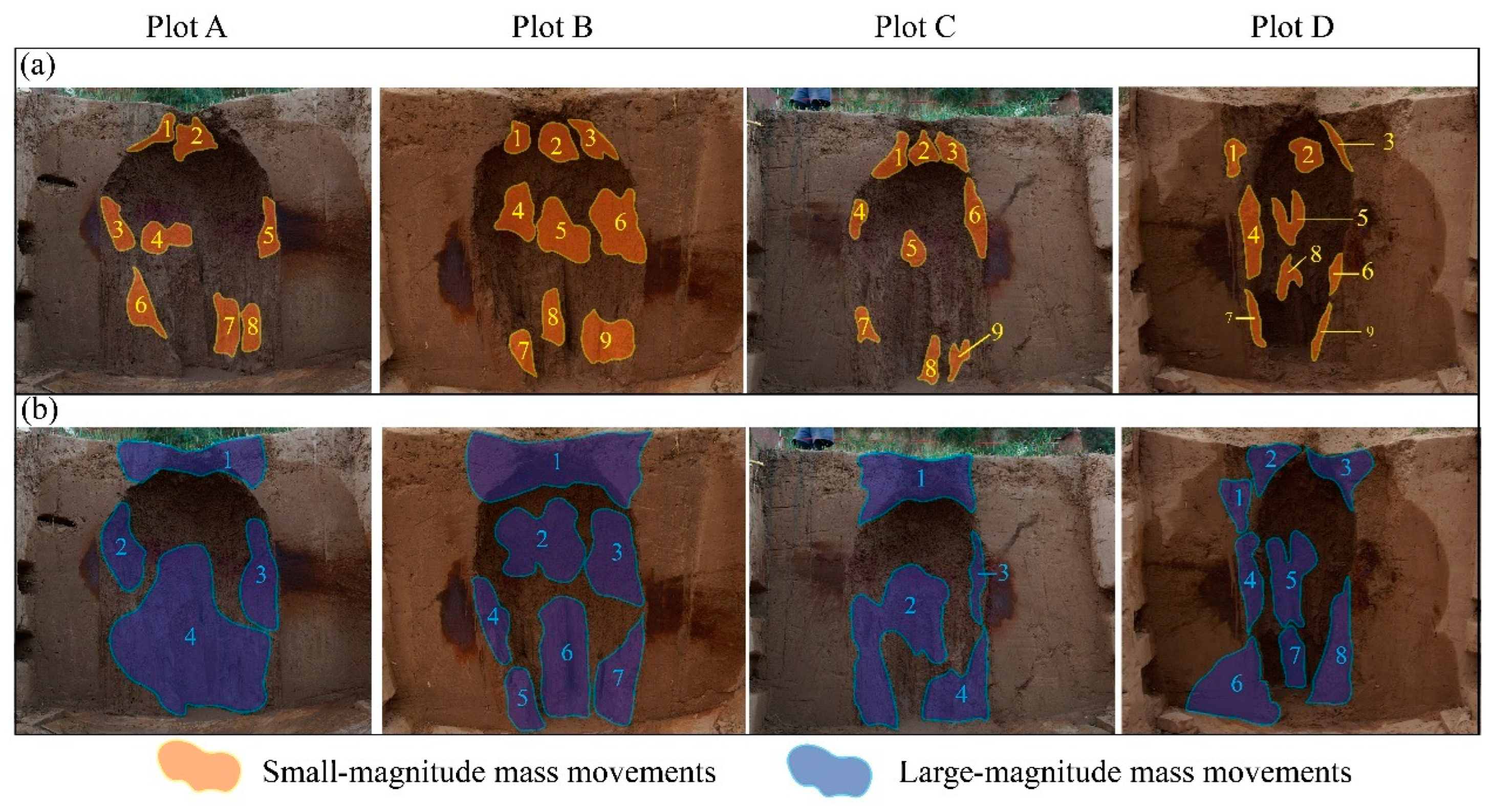 Water 17 02309 g004 Water 17 02309 g004