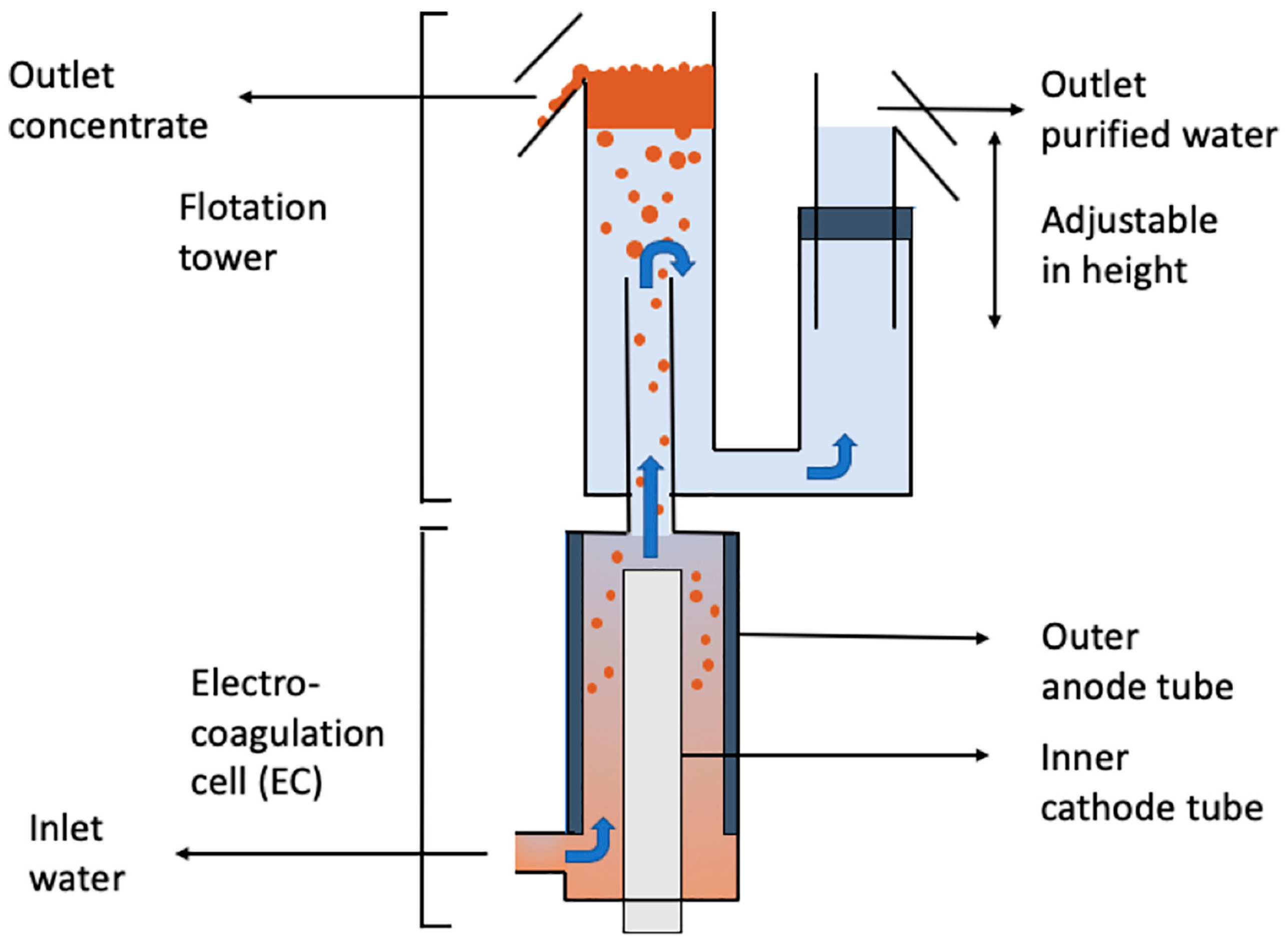 Water 17 02351 g005 Water 17 02351 g005