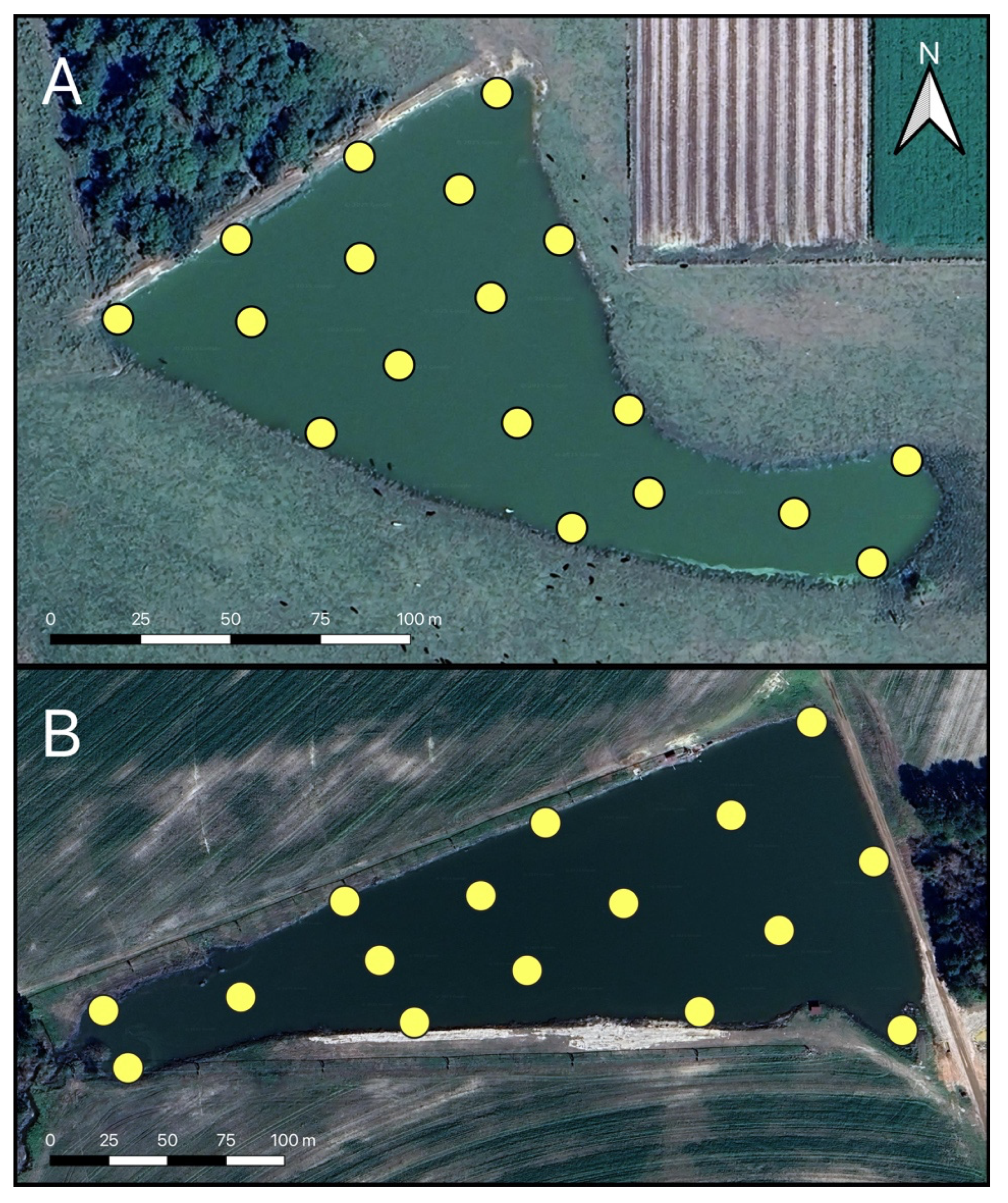 Water 17 02361 g001 Water 17 02361 g001