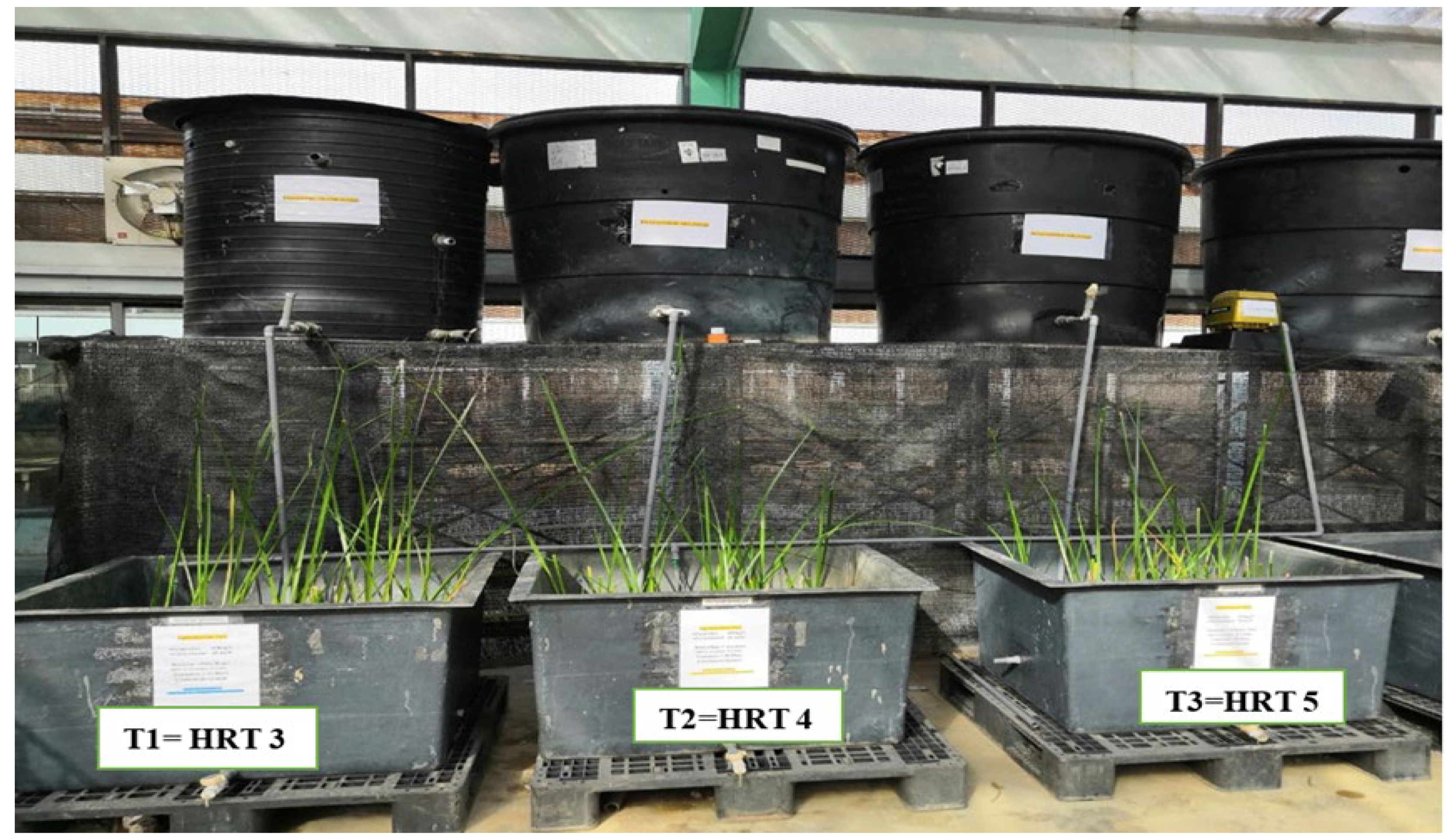 Water 17 02396 g001 Water 17 02396 g001