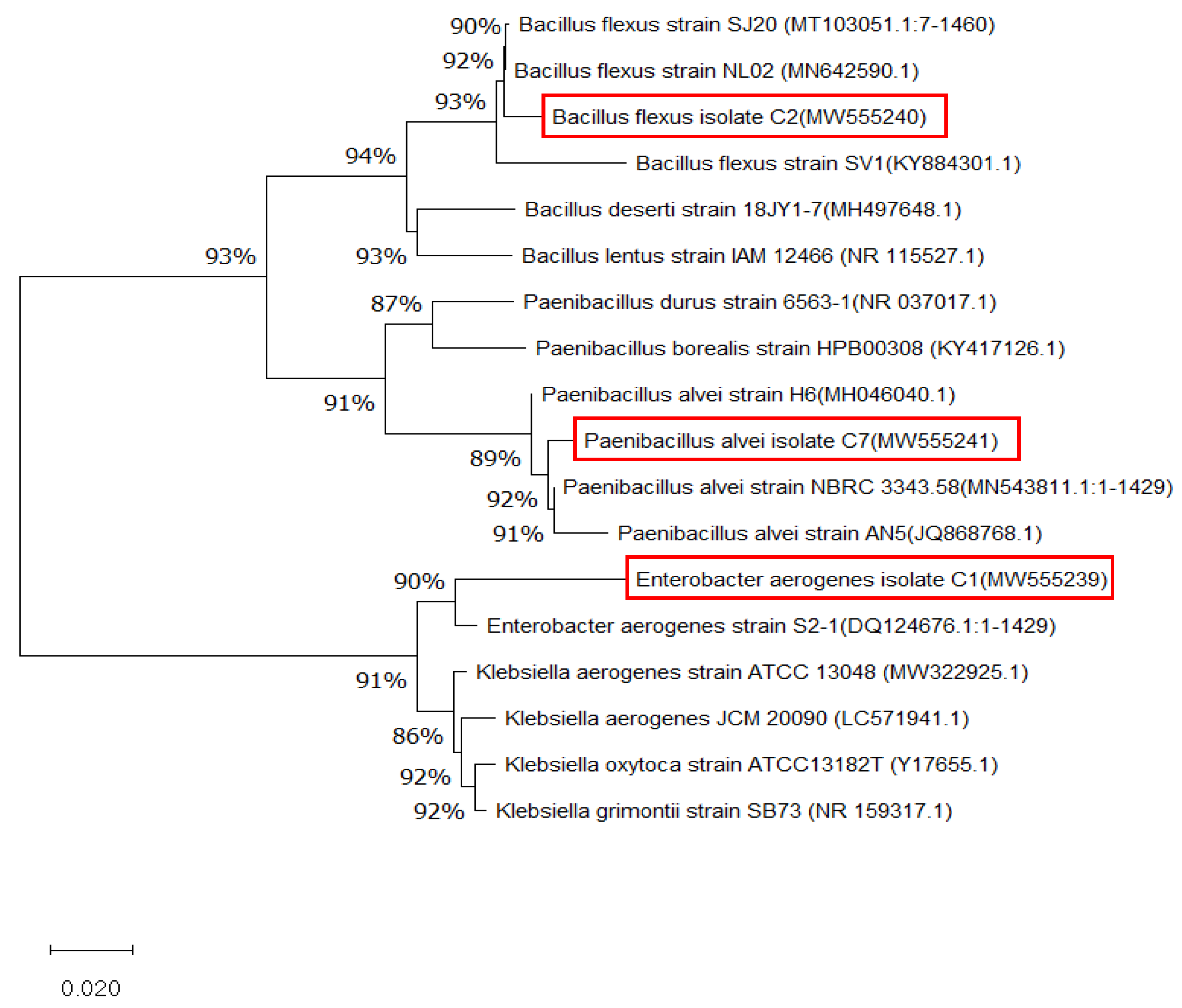 Water 17 02396 g005 Water 17 02396 g005