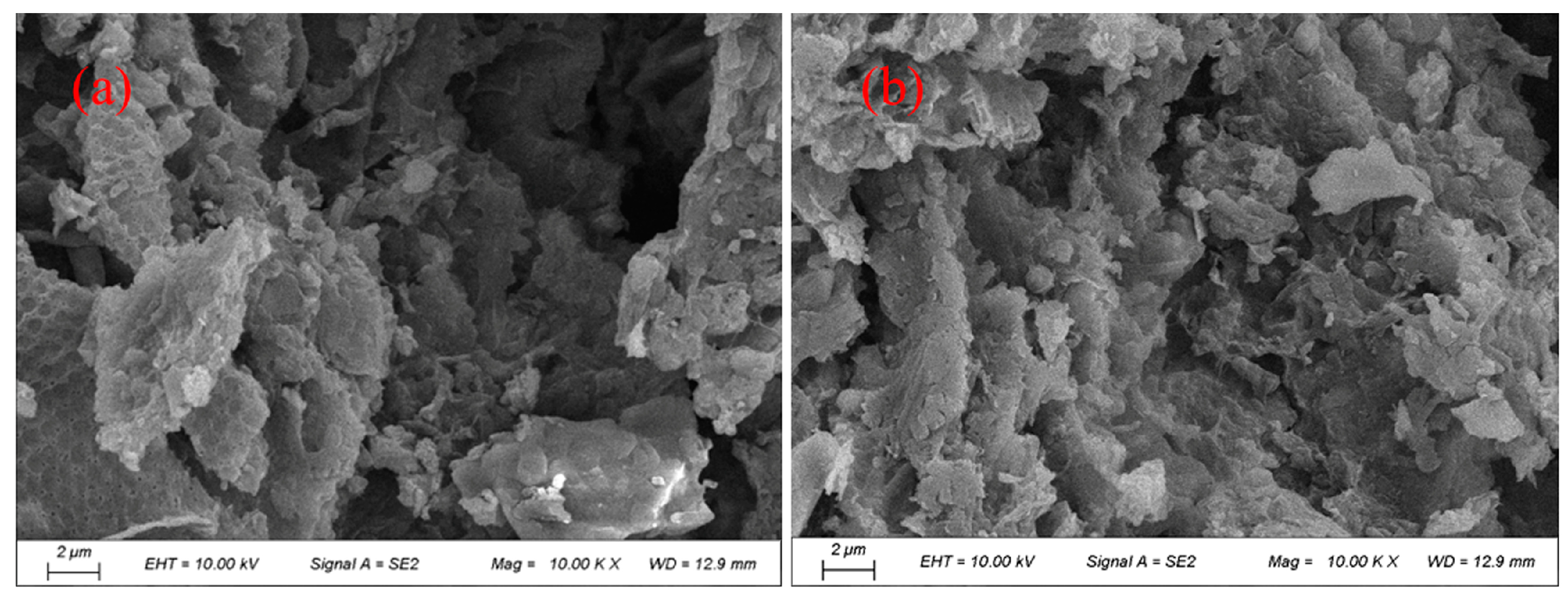 Water 17 02424 g013 Water 17 02424 g013