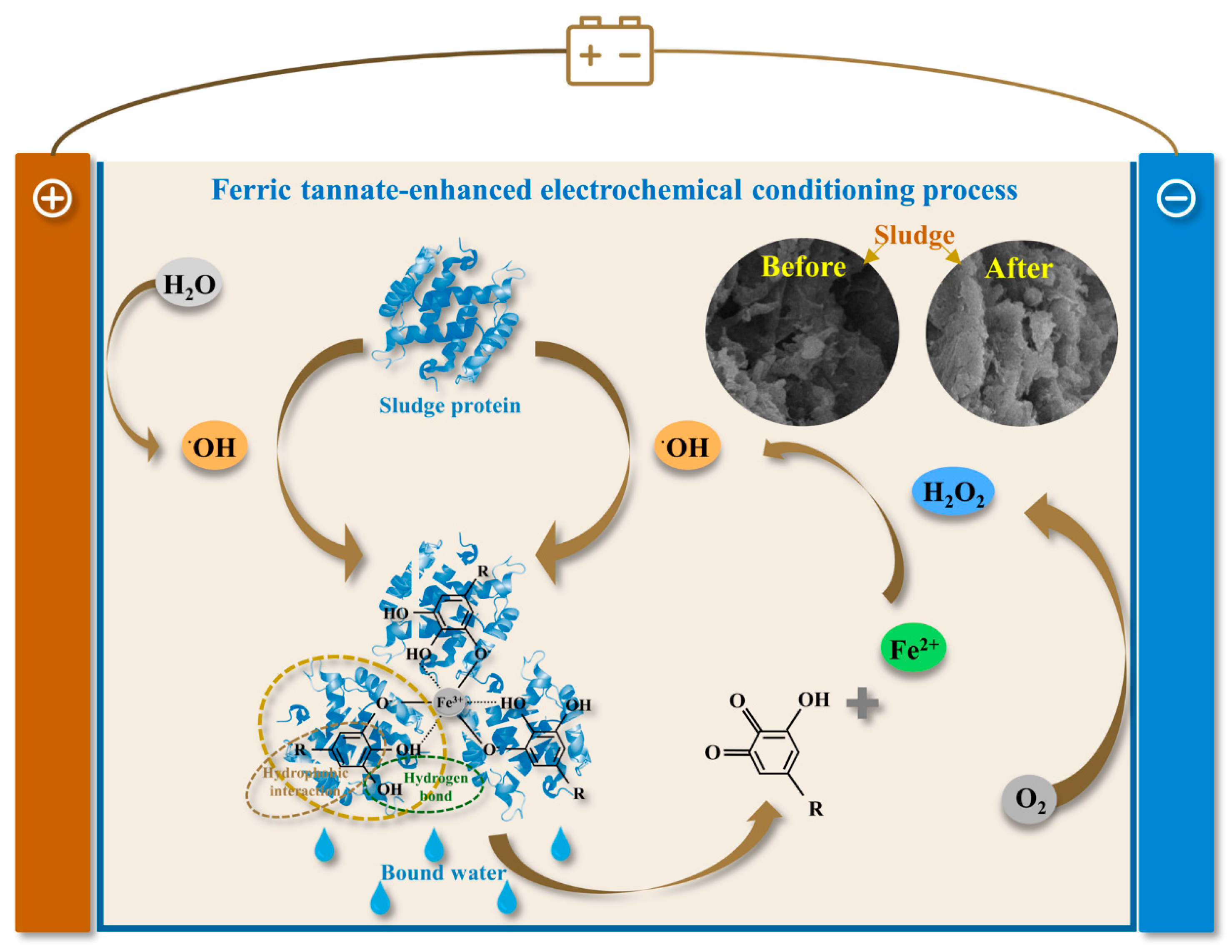 Water 17 02424 g015 Water 17 02424 g015