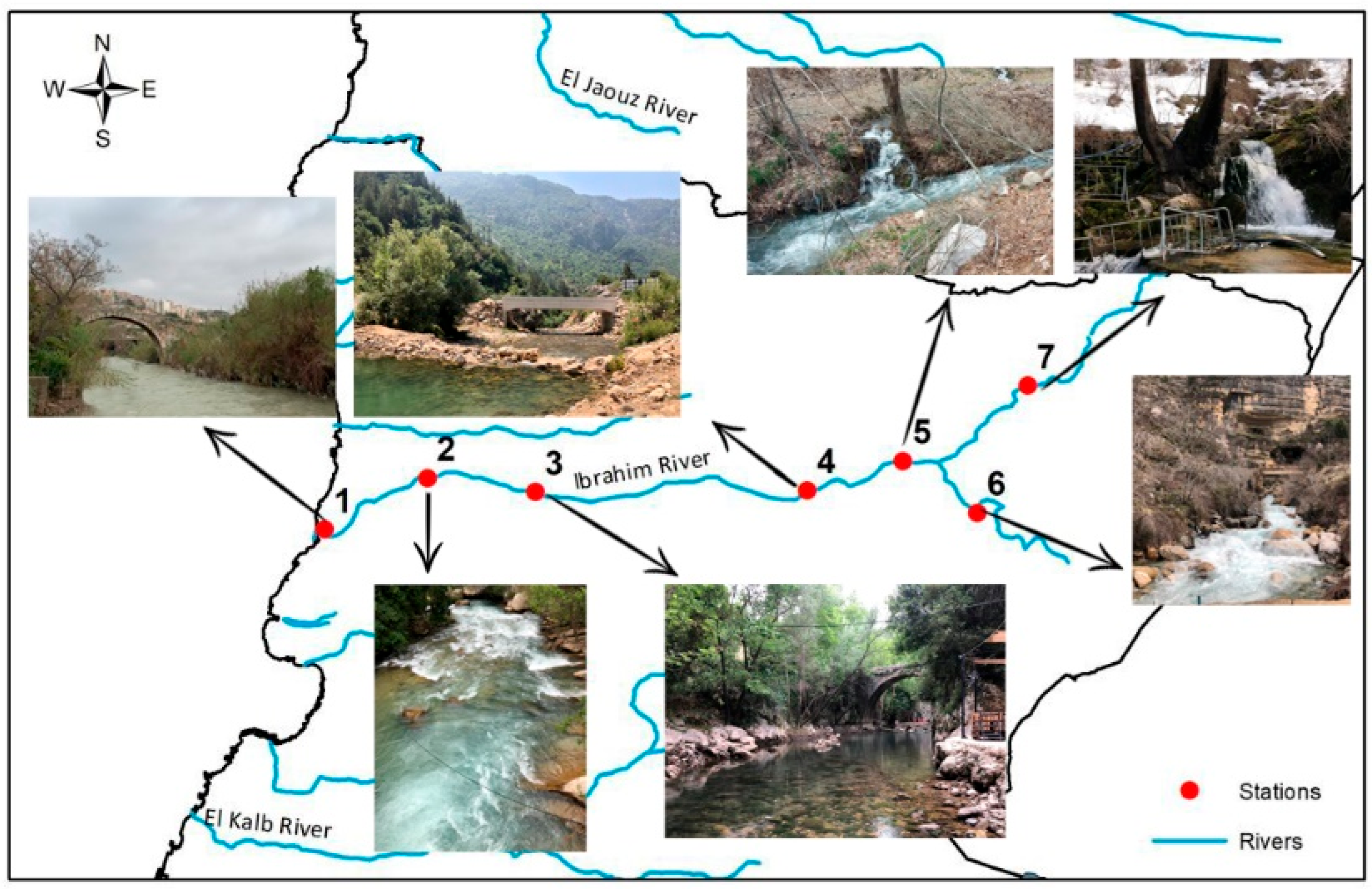 Water 17 02483 g002 Water 17 02483 g002