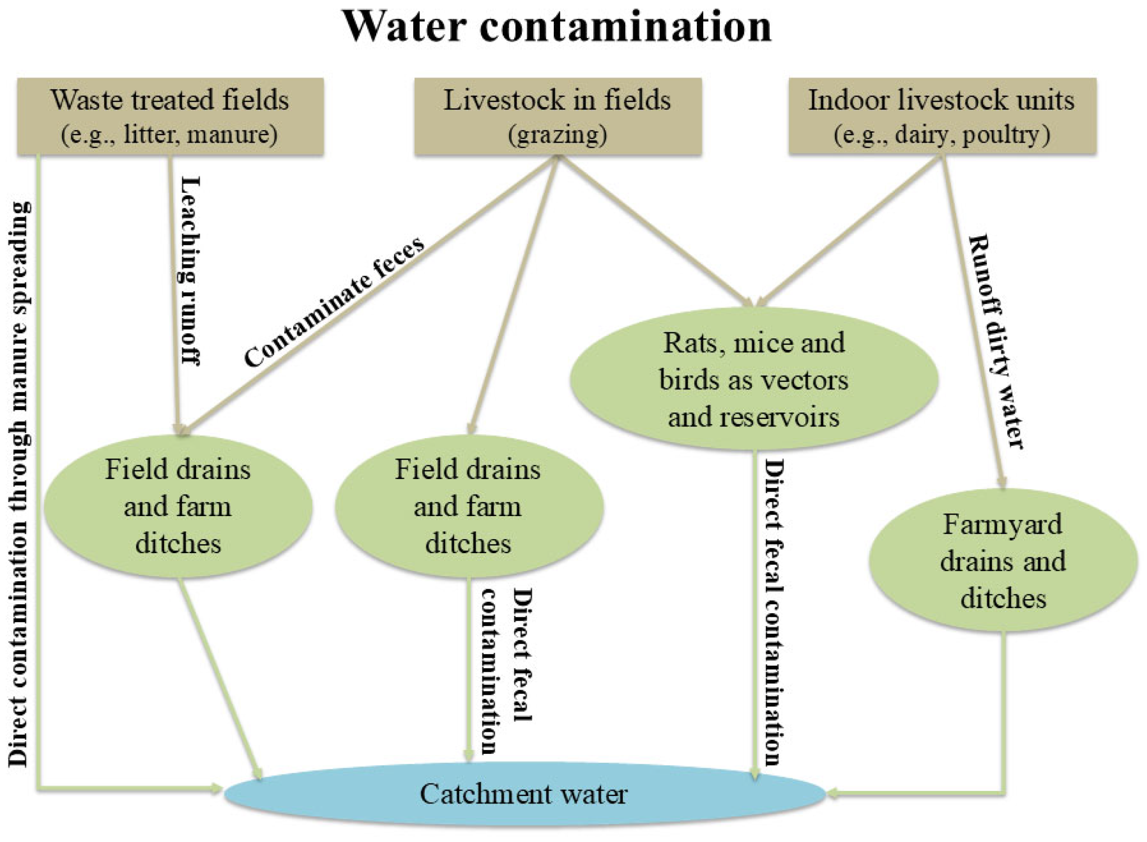 Water 17 02488 g005 Water 17 02488 g005