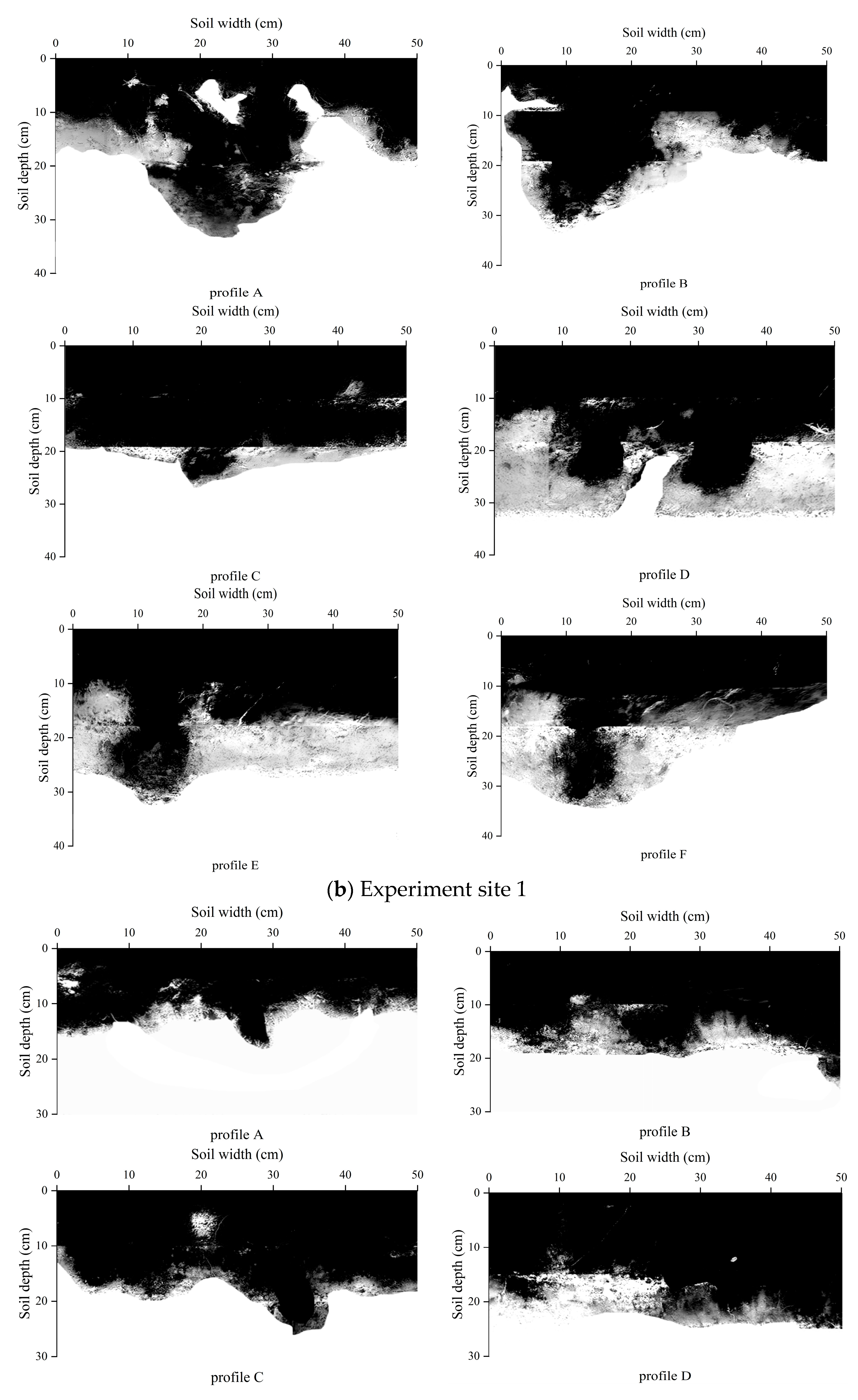 Water 17 02606 g003b Water 17 02606 g003b