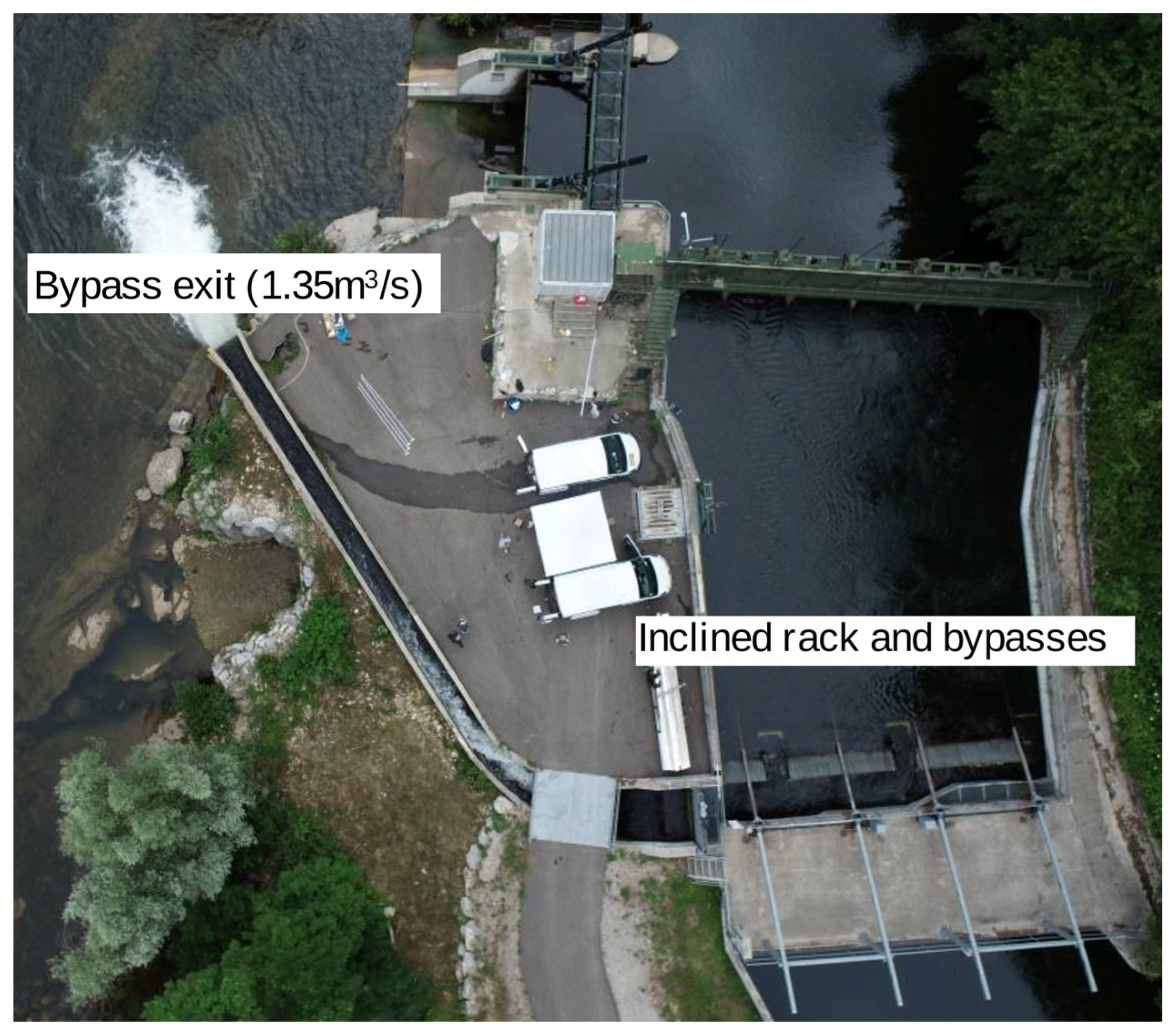 Water 17 02704 g002 Water 17 02704 g002