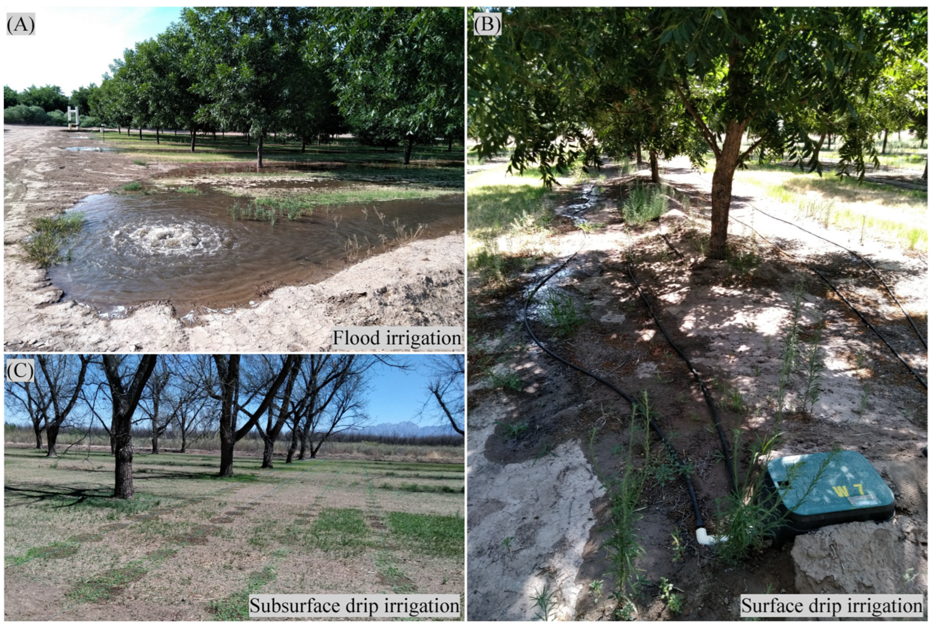 Water 17 02715 g003 Water 17 02715 g003