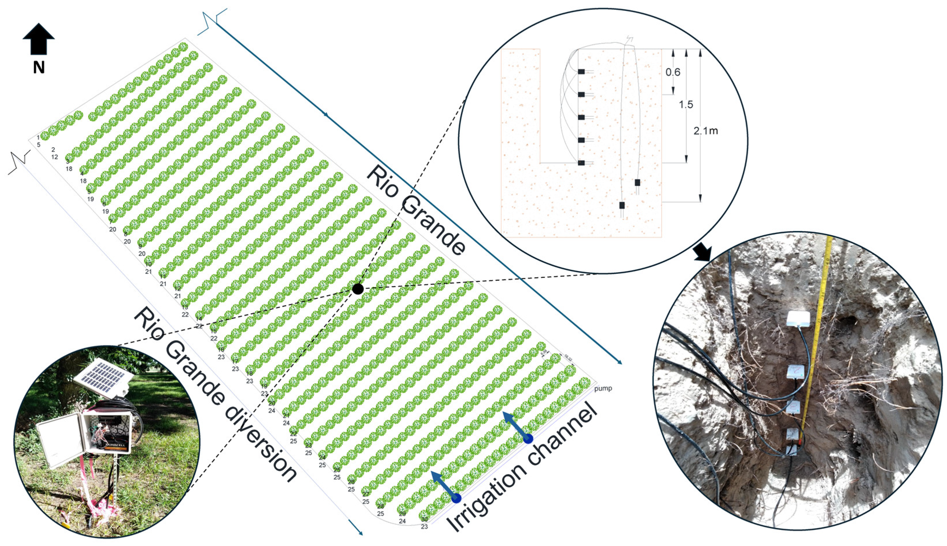 Water 17 02715 g004 Water 17 02715 g004