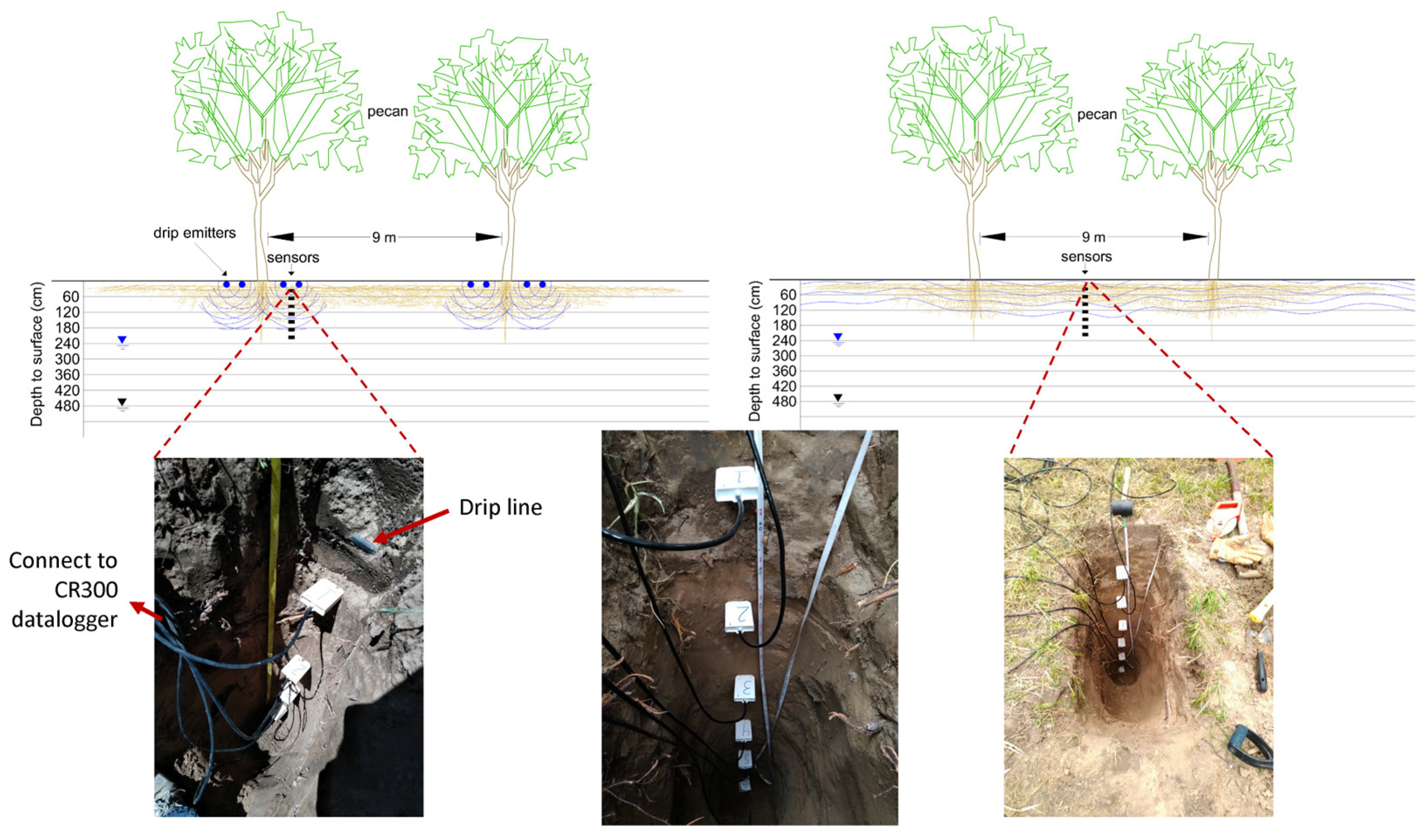 Water 17 02715 g005 Water 17 02715 g005