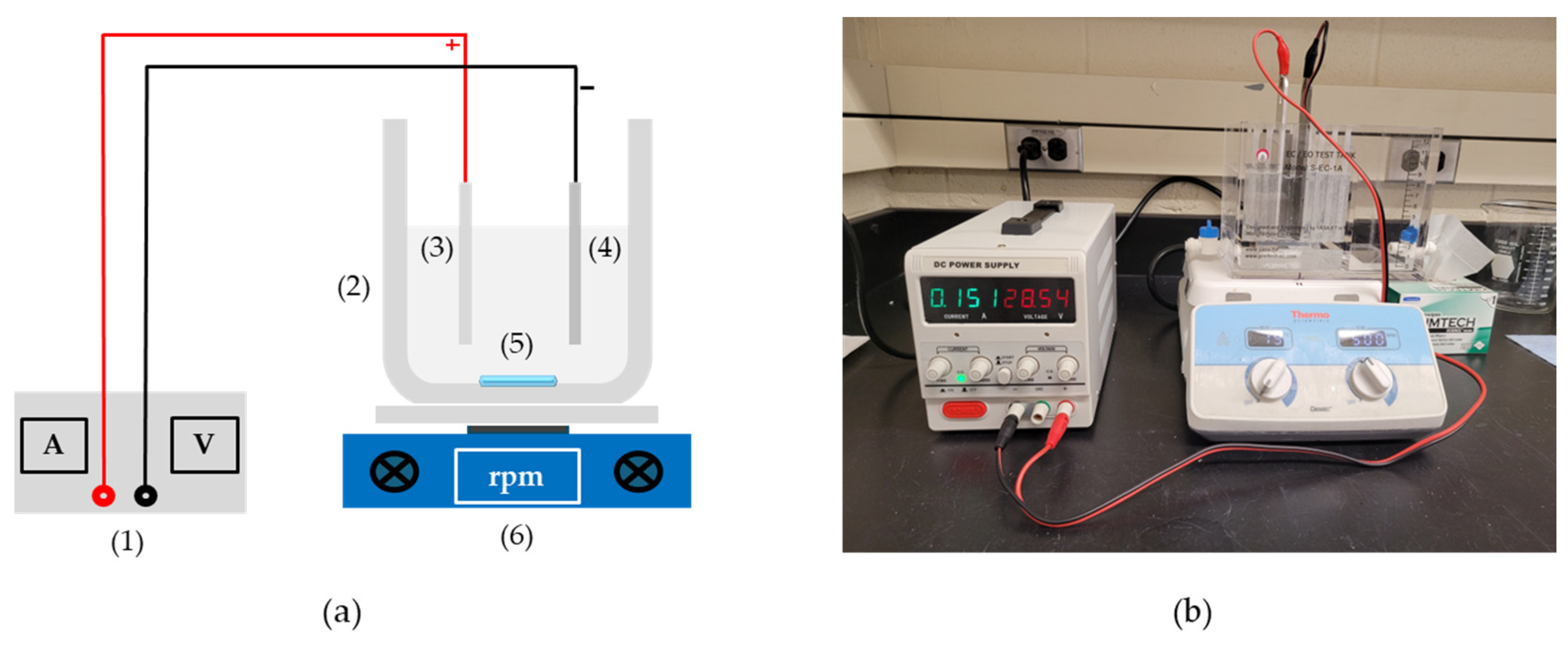 Water 17 02764 g001 Water 17 02764 g001