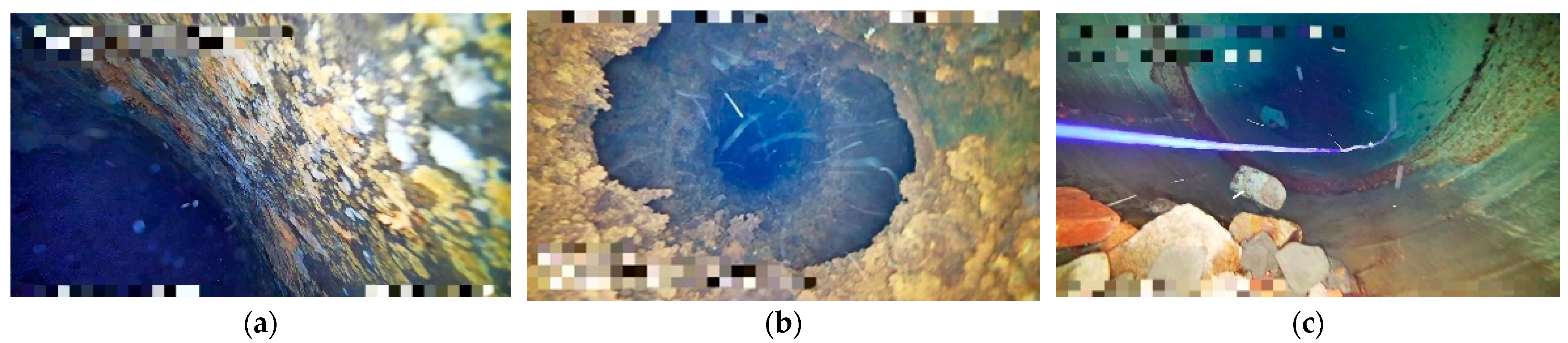 Water 17 02781 g002 Water 17 02781 g002