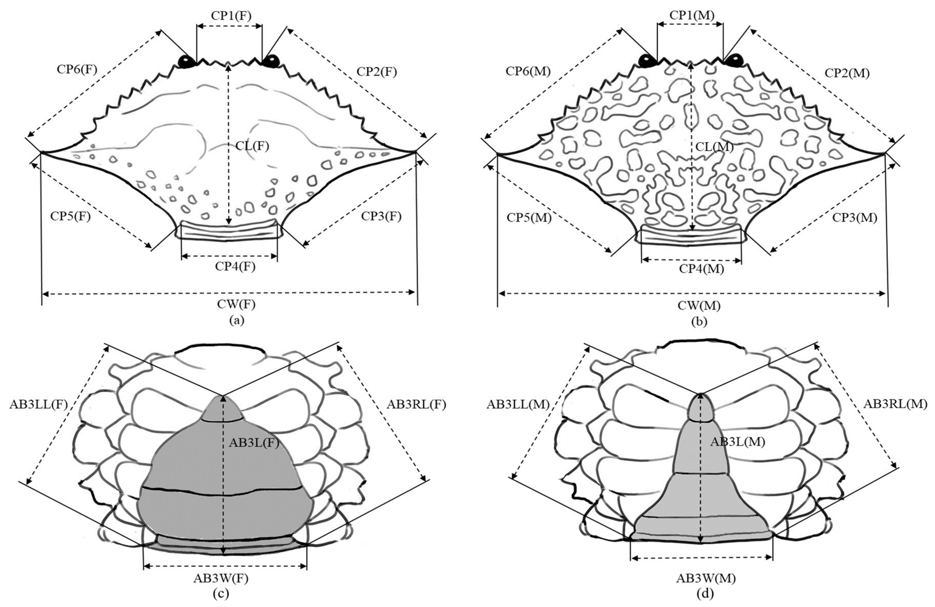 Water 17 02783 g002 Water 17 02783 g002