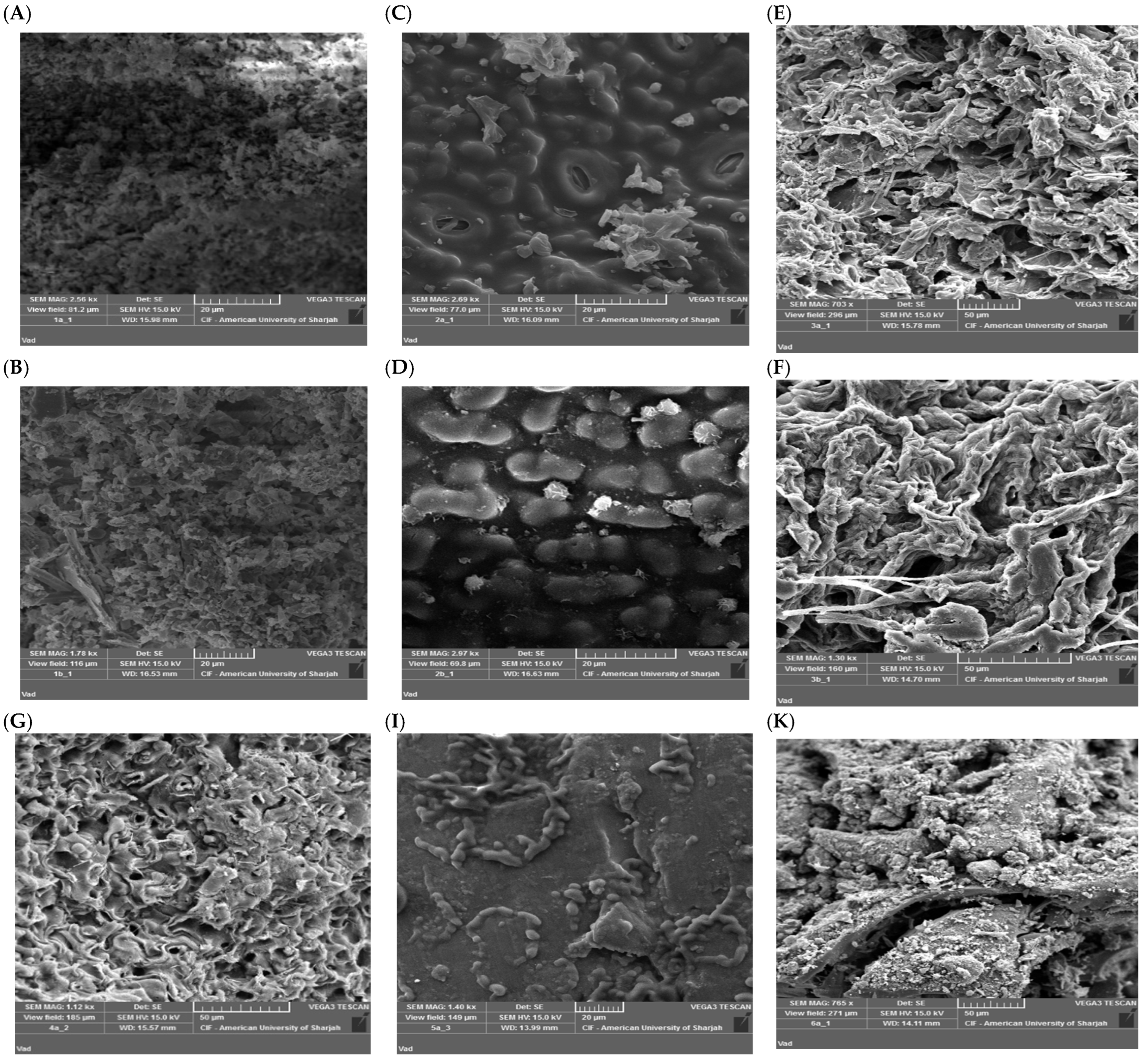 Water 17 02789 g002a Water 17 02789 g002a