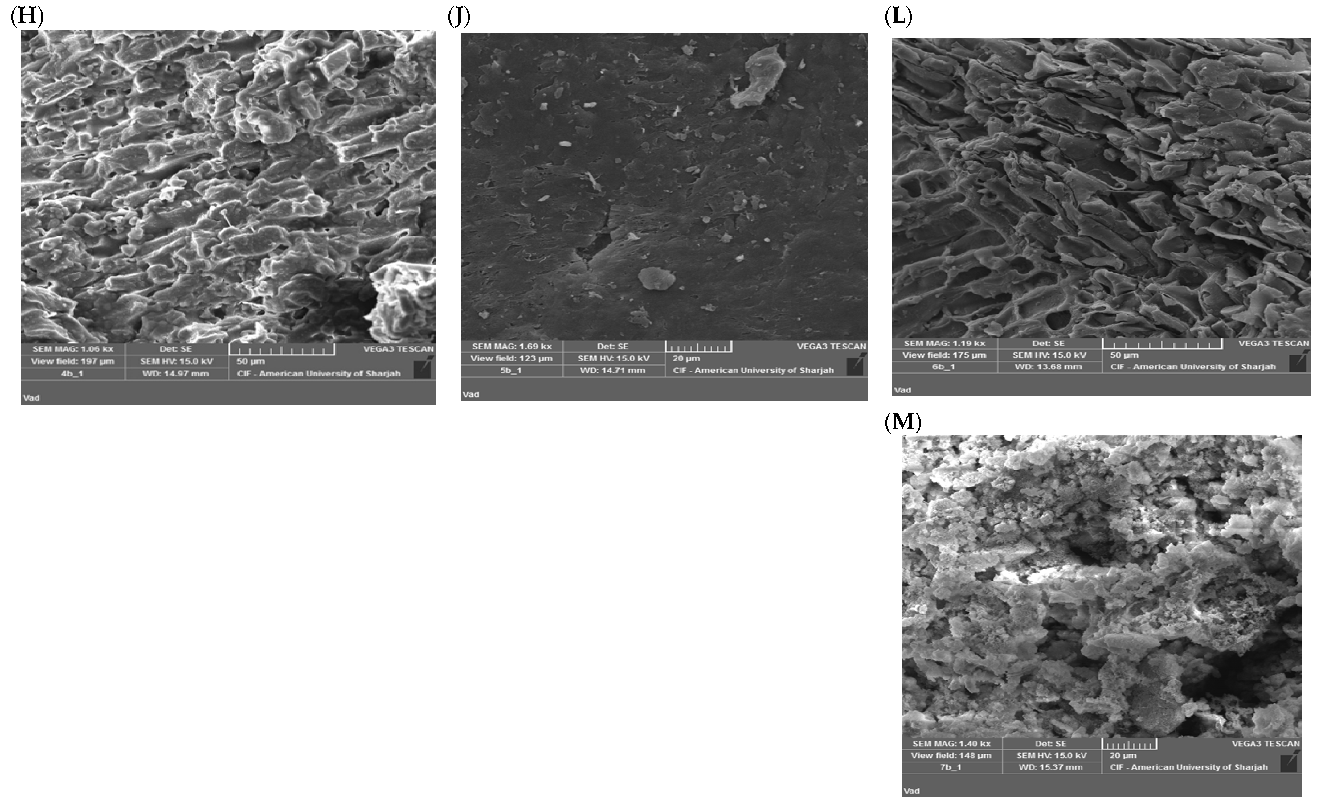 Water 17 02789 g002b Water 17 02789 g002b